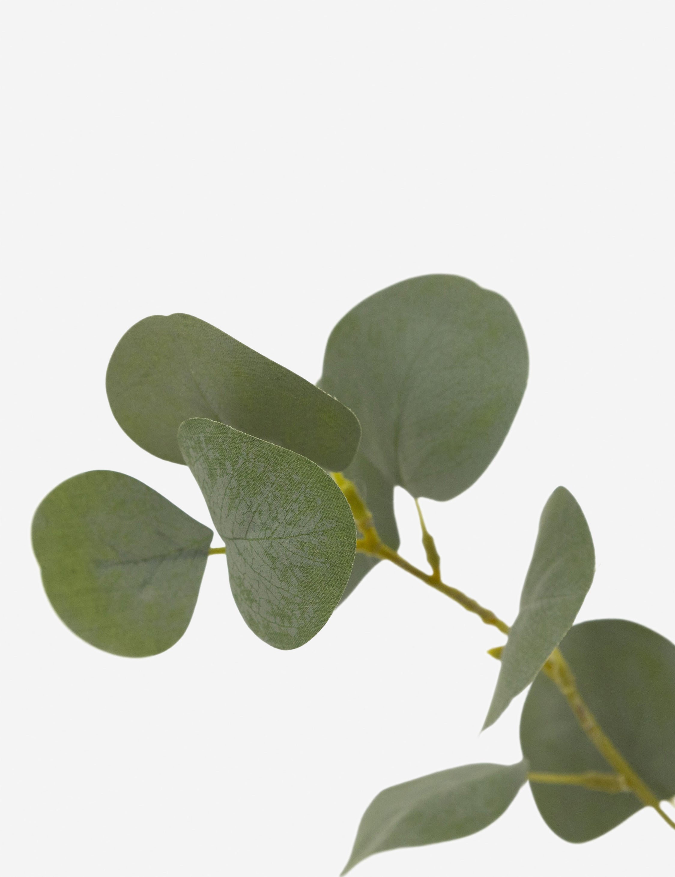 Lulu and Georgia - Faux Eucalyptus Tree