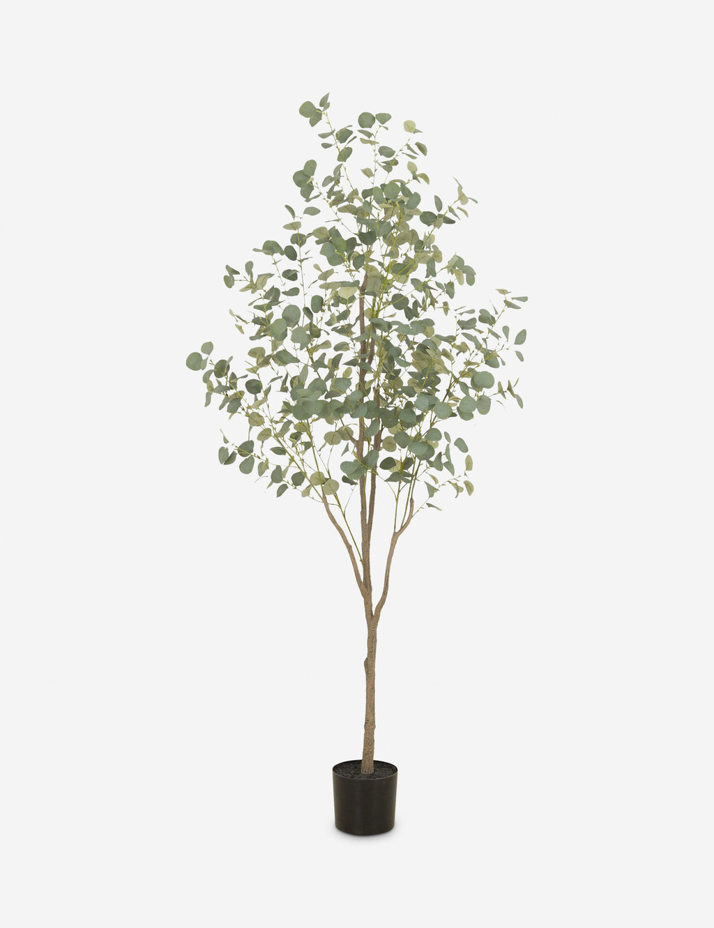 Lulu and Georgia - Faux Eucalyptus Tree