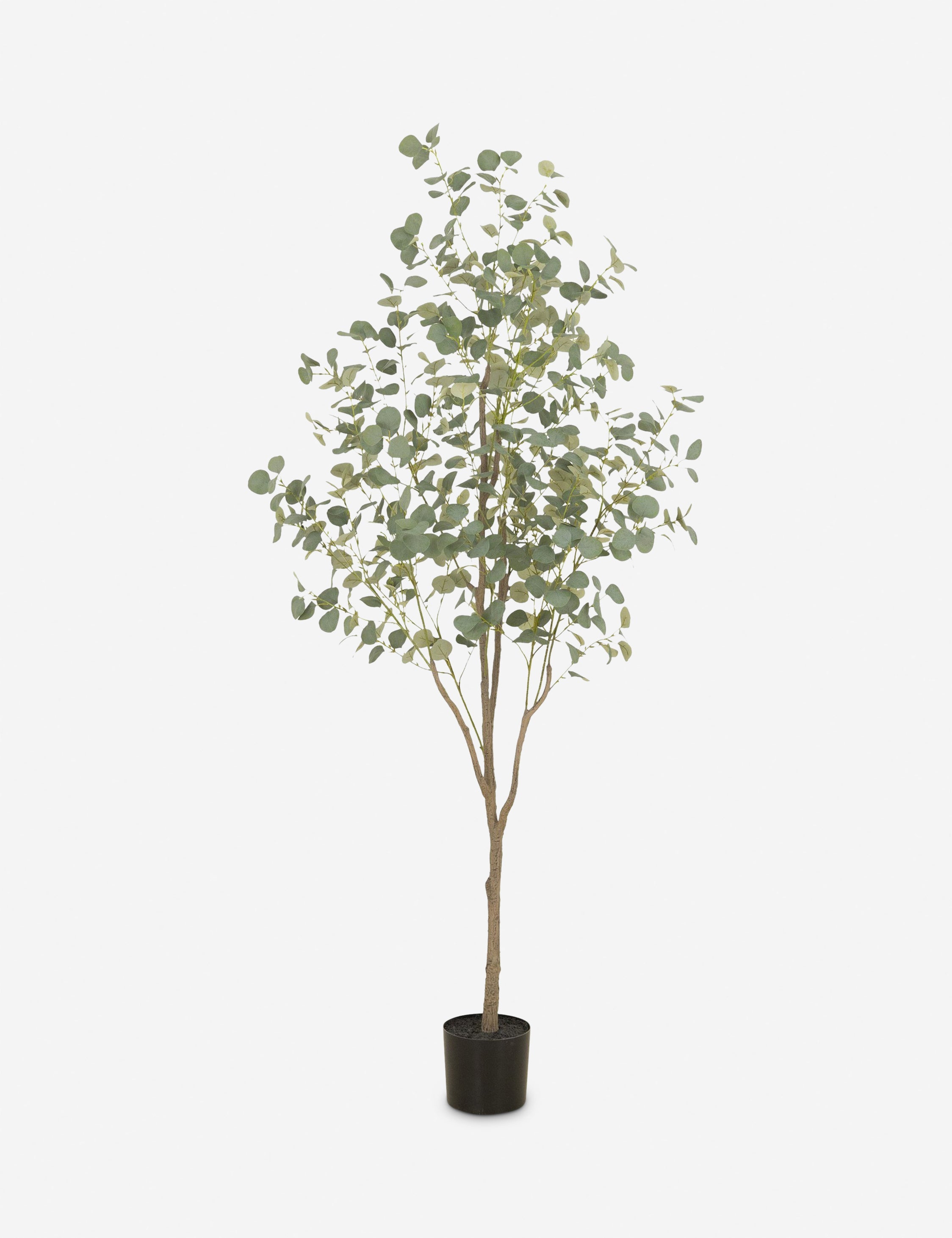 Lulu and Georgia - Faux Eucalyptus Tree