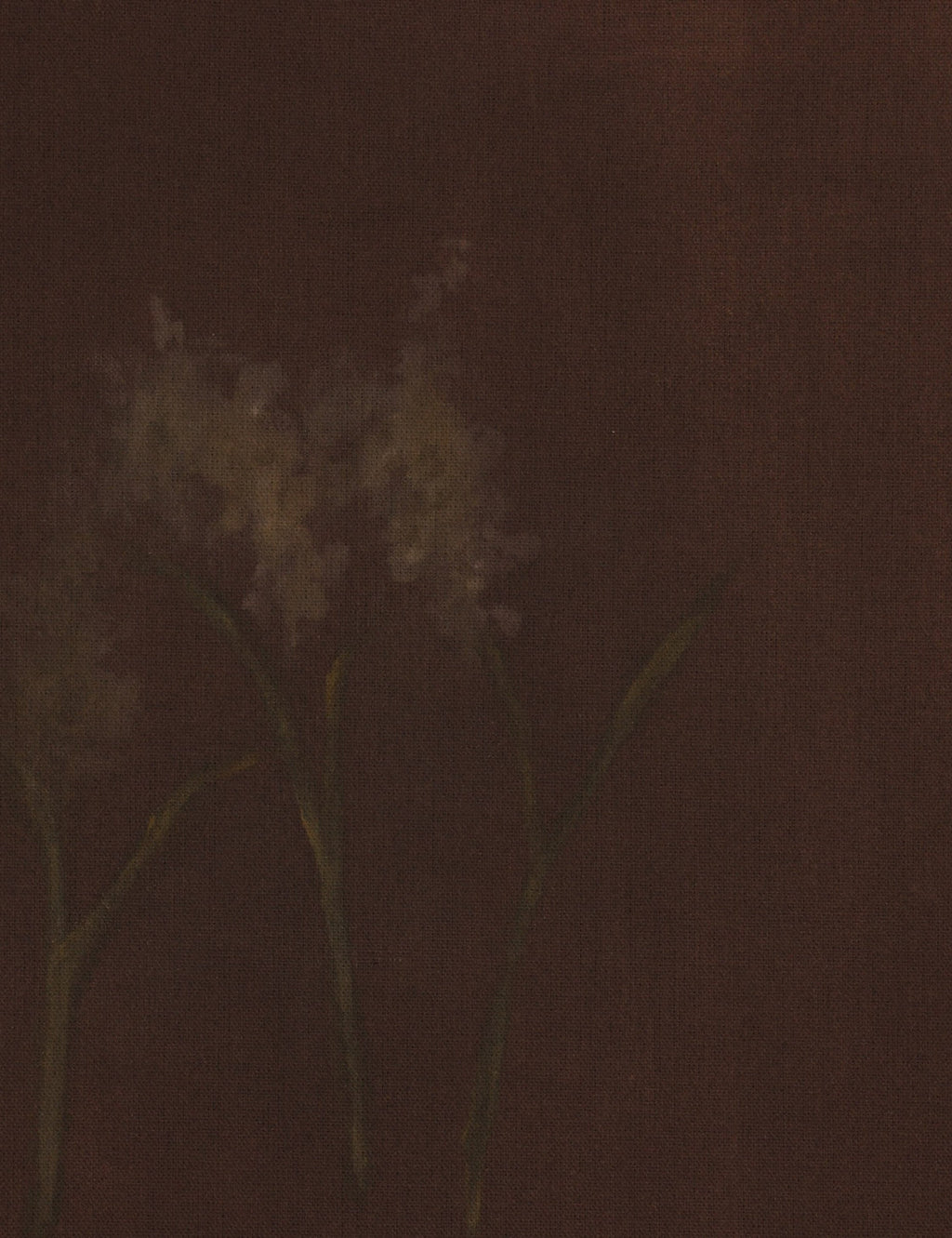 Lulu and Georgia - Bloom III Wall Art by Brittney Schulz