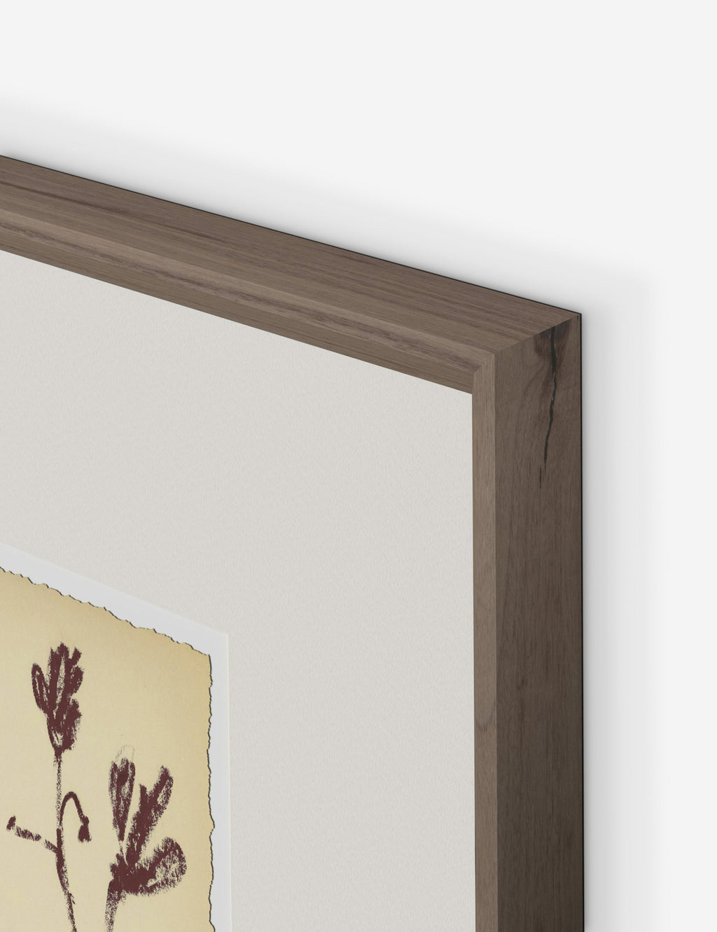 Lulu and Georgia - Meadow Rue No. 3 Wall Art by Shaina Page