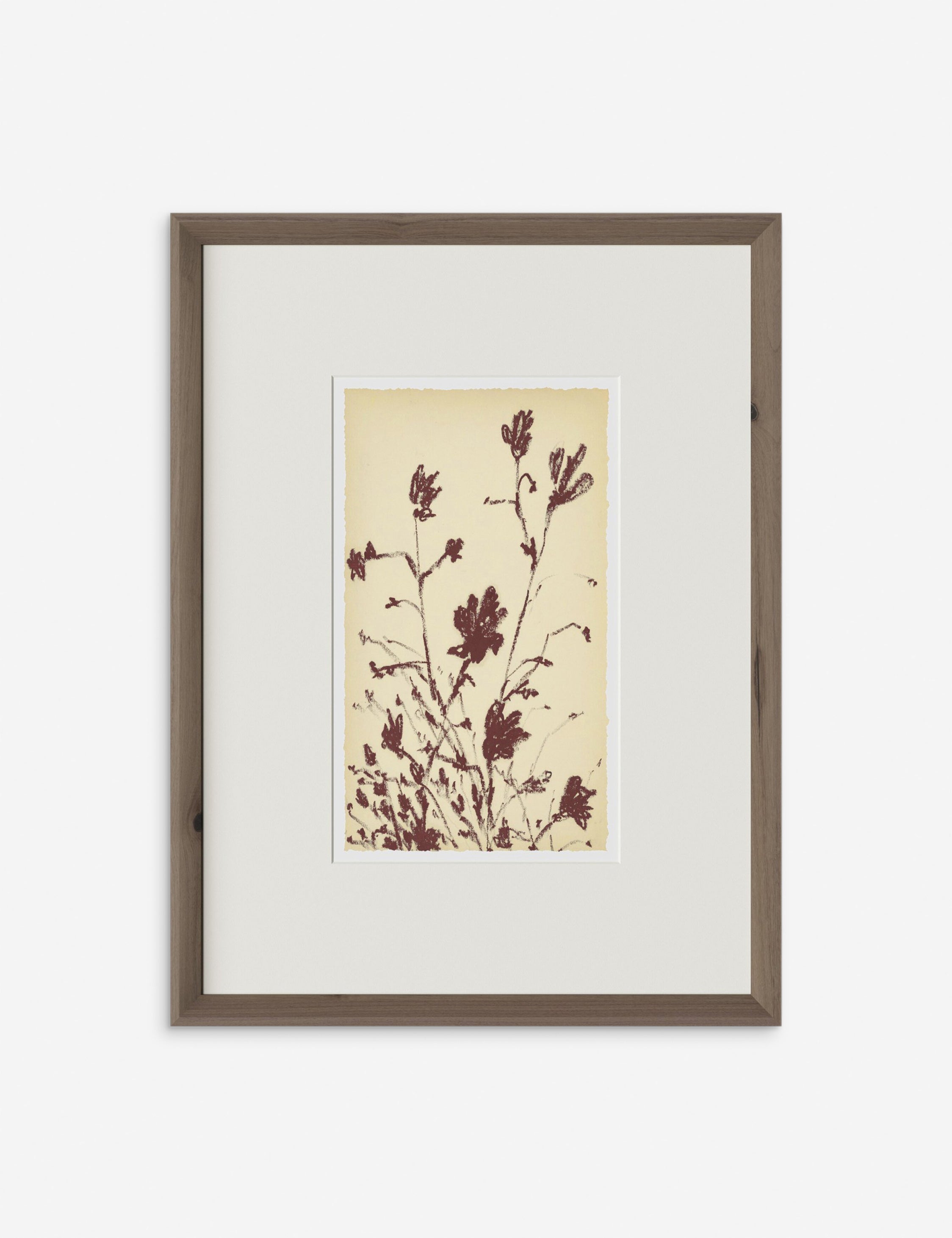 Lulu and Georgia - Meadow Rue No. 3 Wall Art by Shaina Page