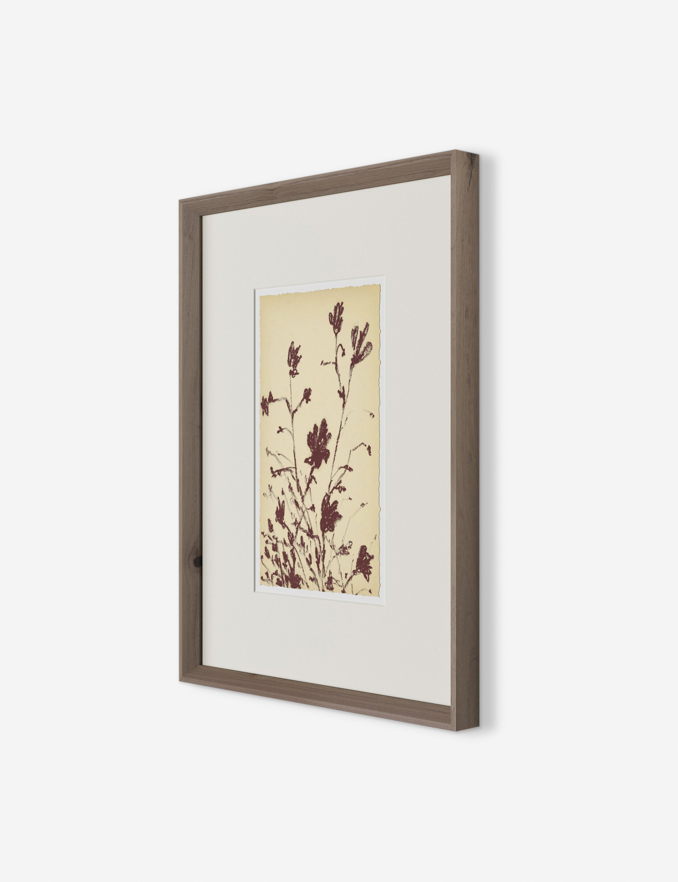 Lulu and Georgia - Meadow Rue No. 3 Wall Art by Shaina Page