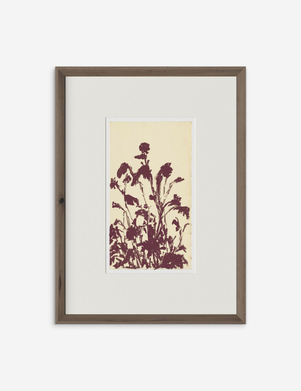Lulu and Georgia - Meadow Rue No. 6 Wall Art by Shaina Page
