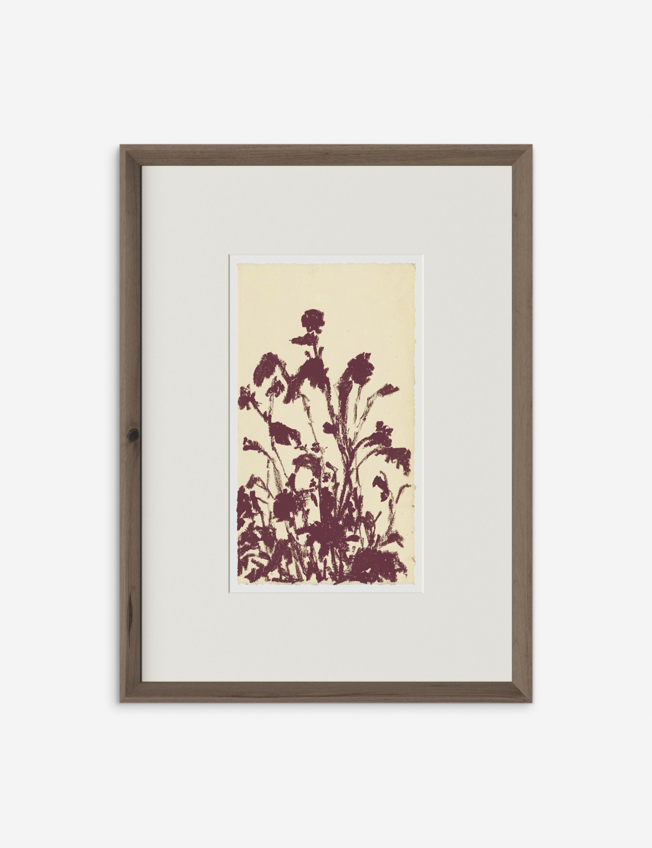 Lulu and Georgia - Meadow Rue No. 6 Wall Art by Shaina Page