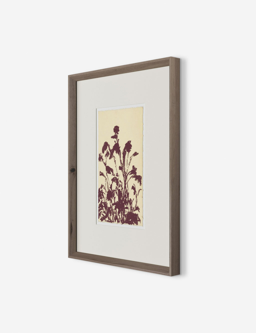 Lulu and Georgia - Meadow Rue No. 6 Wall Art by Shaina Page