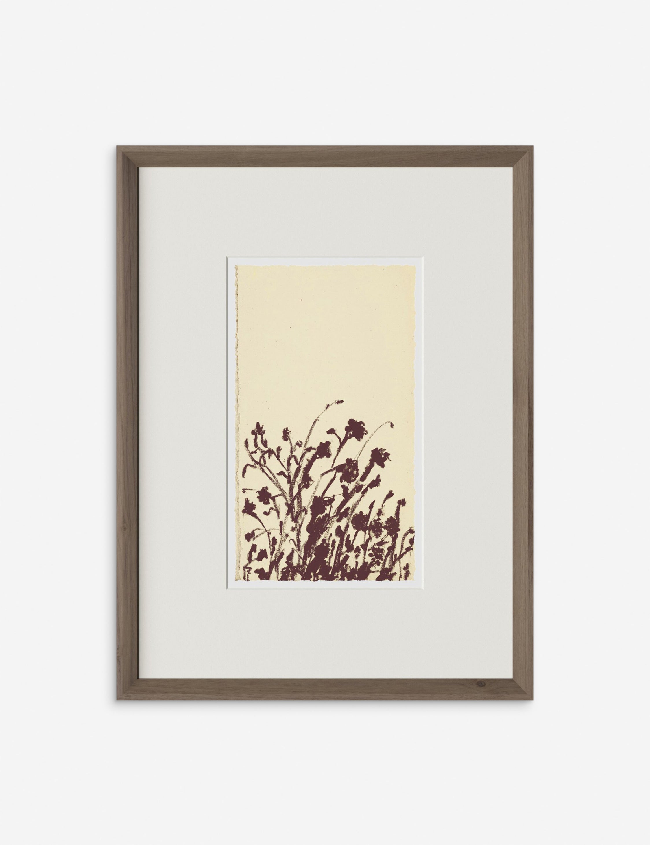Lulu and Georgia - Meadow Rue No. 7 Wall Art by Shaina Page