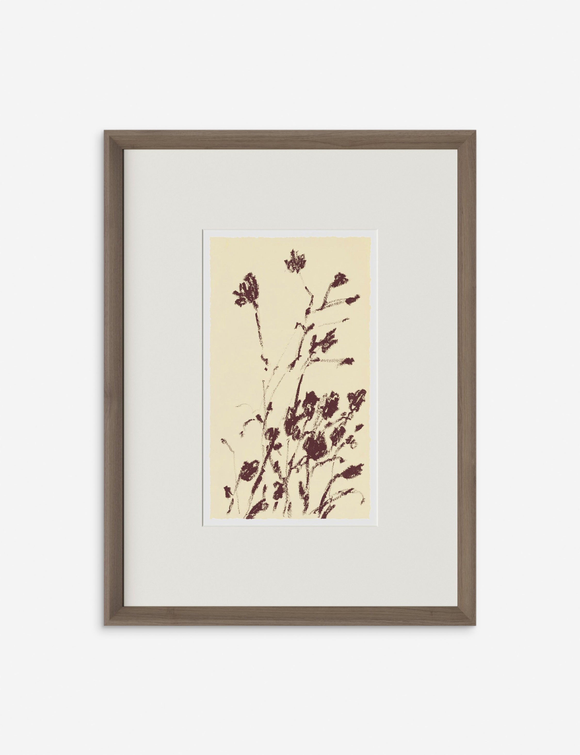 Lulu and Georgia - Meadow Rue No. 8 Wall Art by Shaina Page