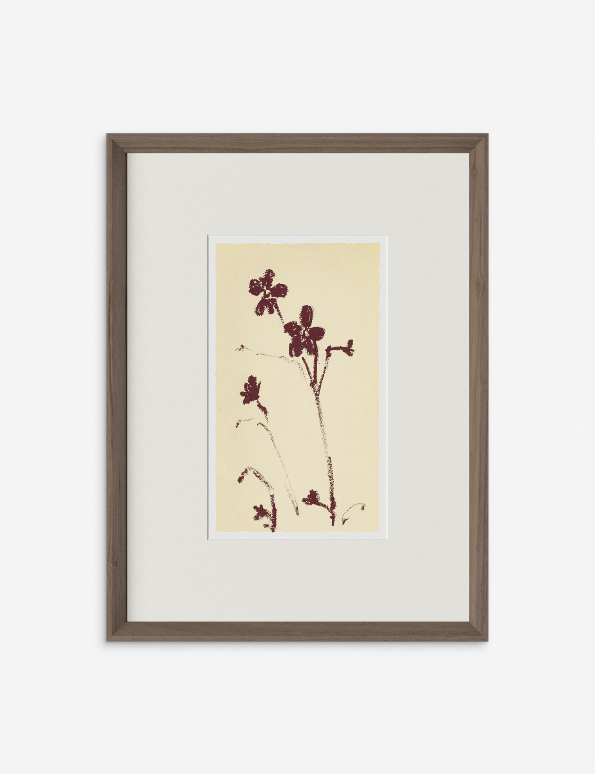 Lulu and Georgia - Meadow Rue No. 9 Wall Art by Shaina Page
