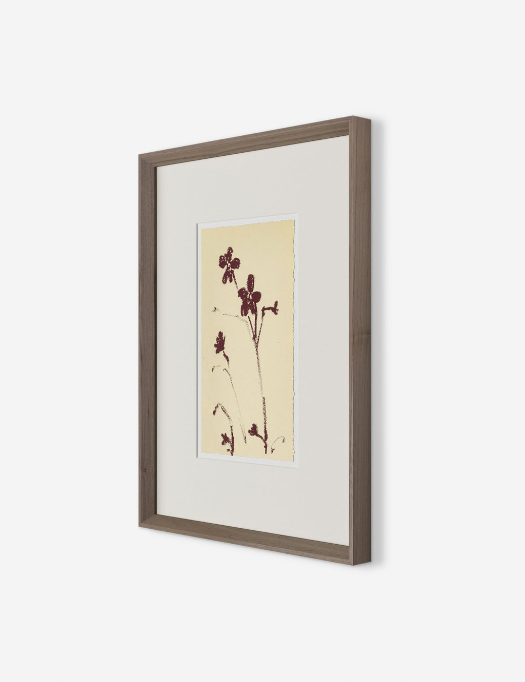 Lulu and Georgia - Meadow Rue No. 9 Wall Art by Shaina Page
