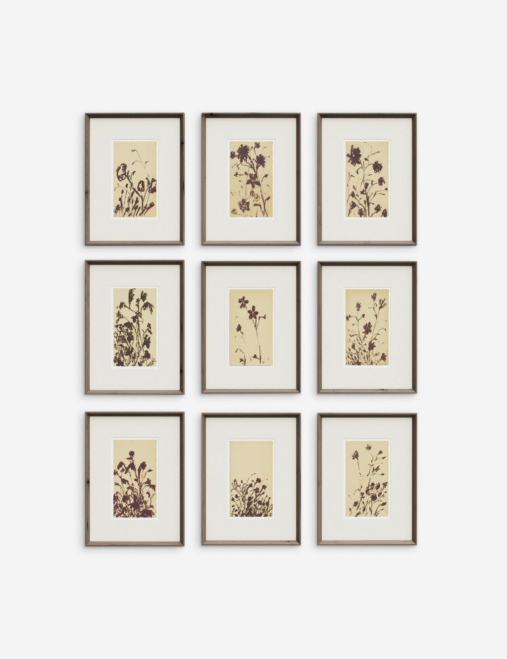 Lulu and Georgia - Wild Blooms Wall Art (Set of 9) by Shaina Page