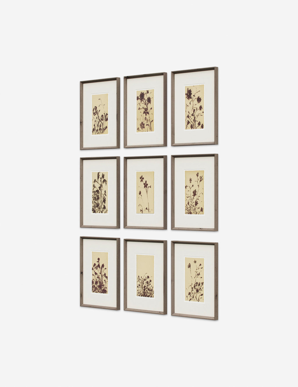 Lulu and Georgia - Wild Blooms Wall Art (Set of 9) by Shaina Page