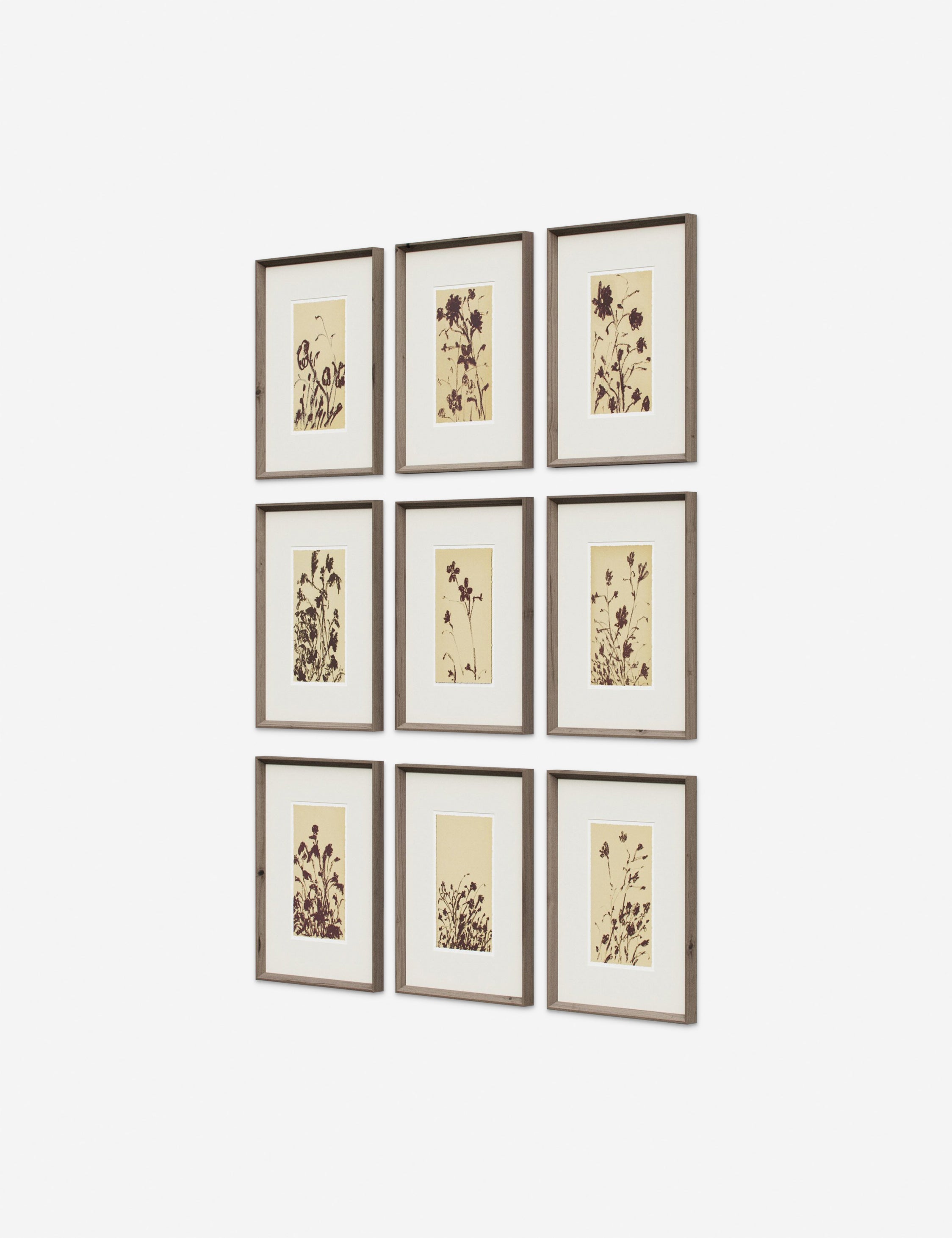 Lulu and Georgia - Wild Blooms Wall Art (Set of 9) by Shaina Page