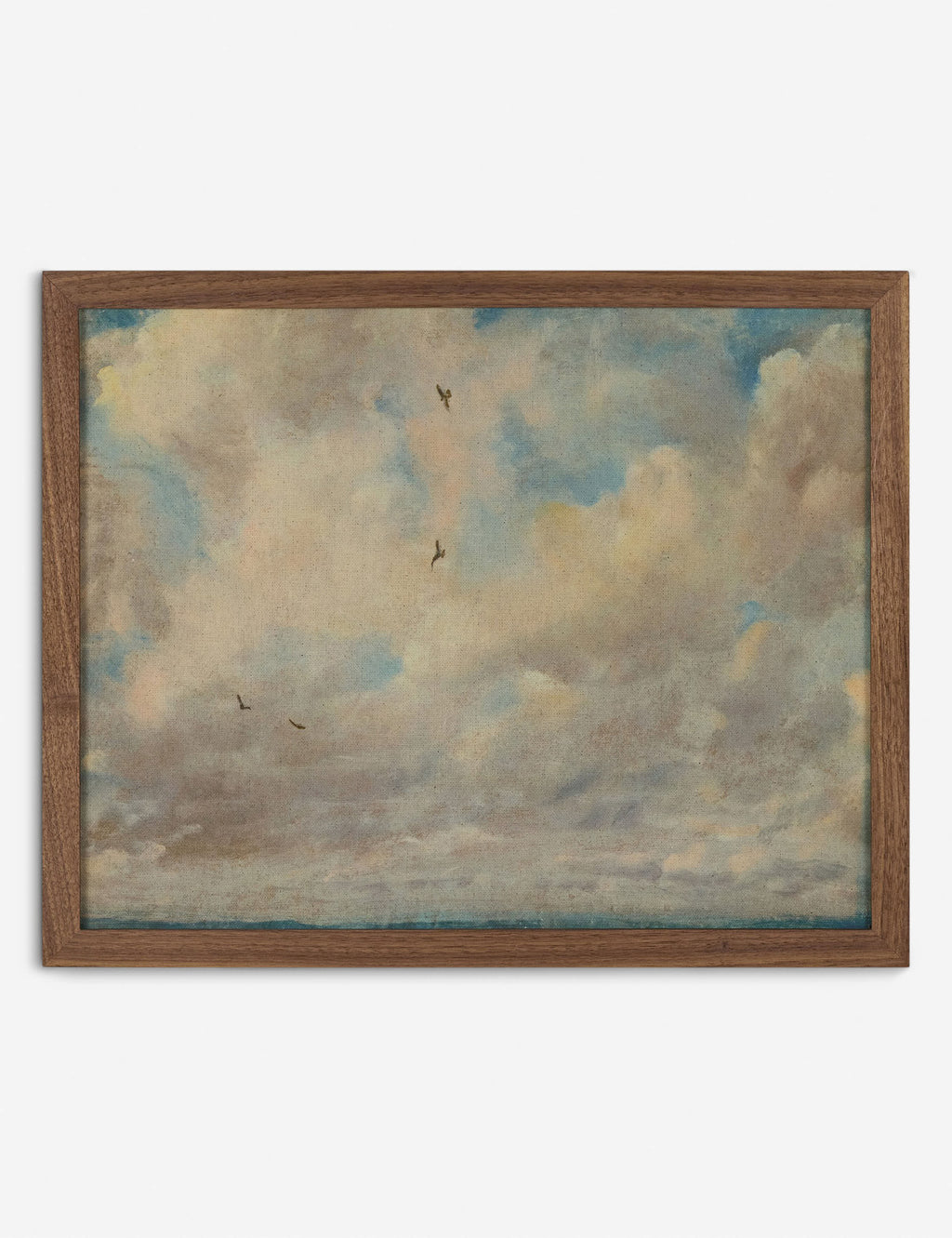 Lulu and Georgia - Cloud Study With Birds Wall Art by John Constable