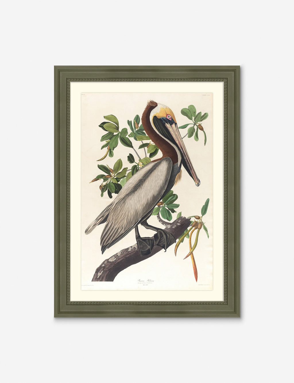 Lulu and Georgia - Wings of the Wild I Wall Art by Alex Zane