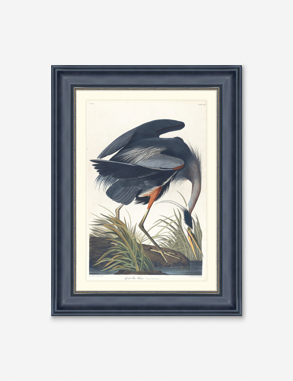Lulu and Georgia - Wings of the Wild III Wall Art by Alex Zane
