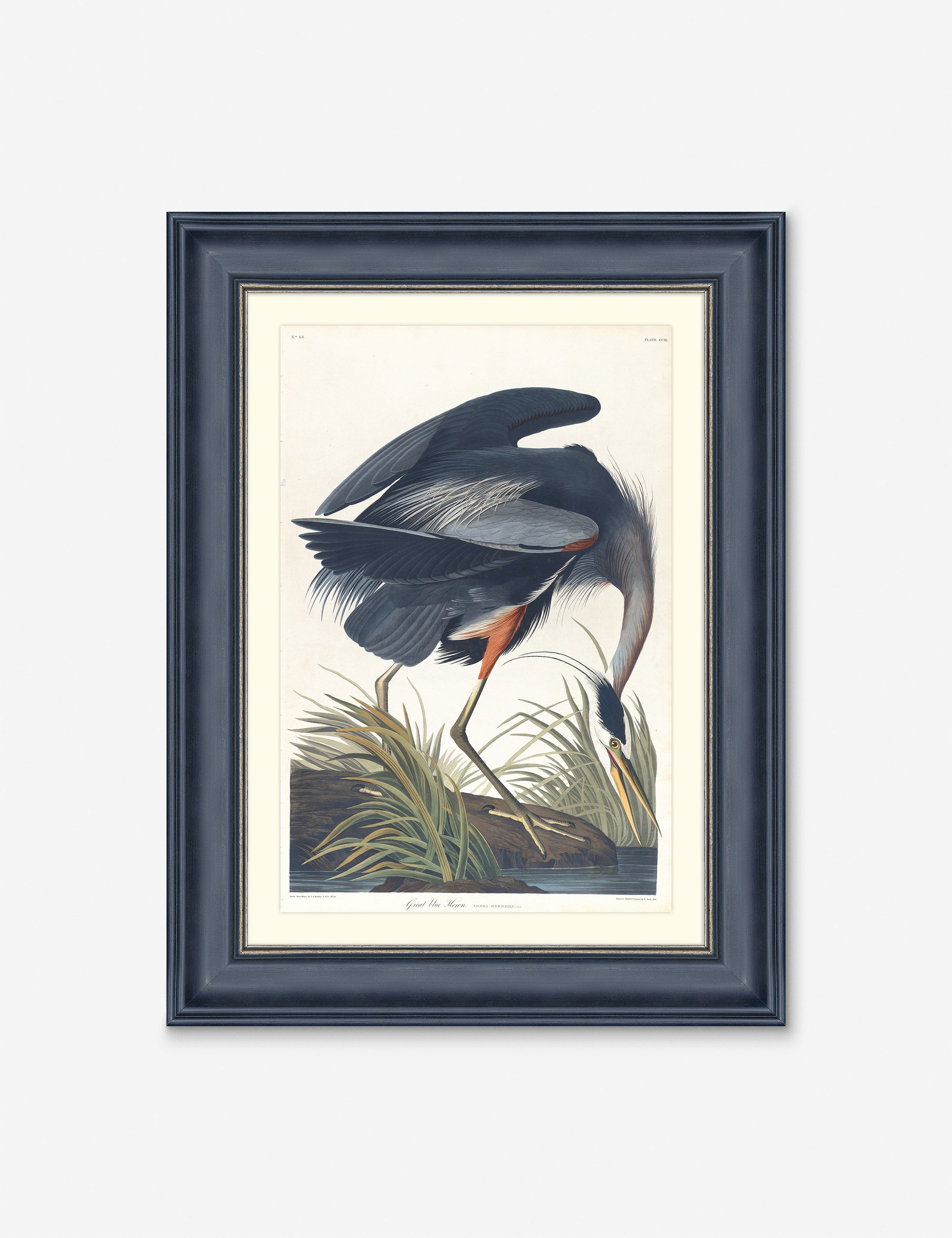 Lulu and Georgia - Wings of the Wild III Wall Art by Alex Zane