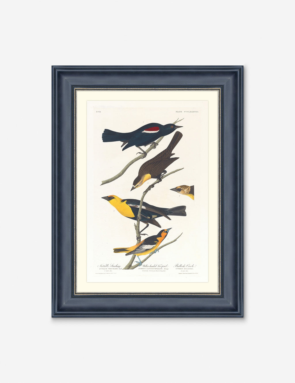 Lulu and Georgia - Wings of the Wild IV Wall Art by Alex Zane