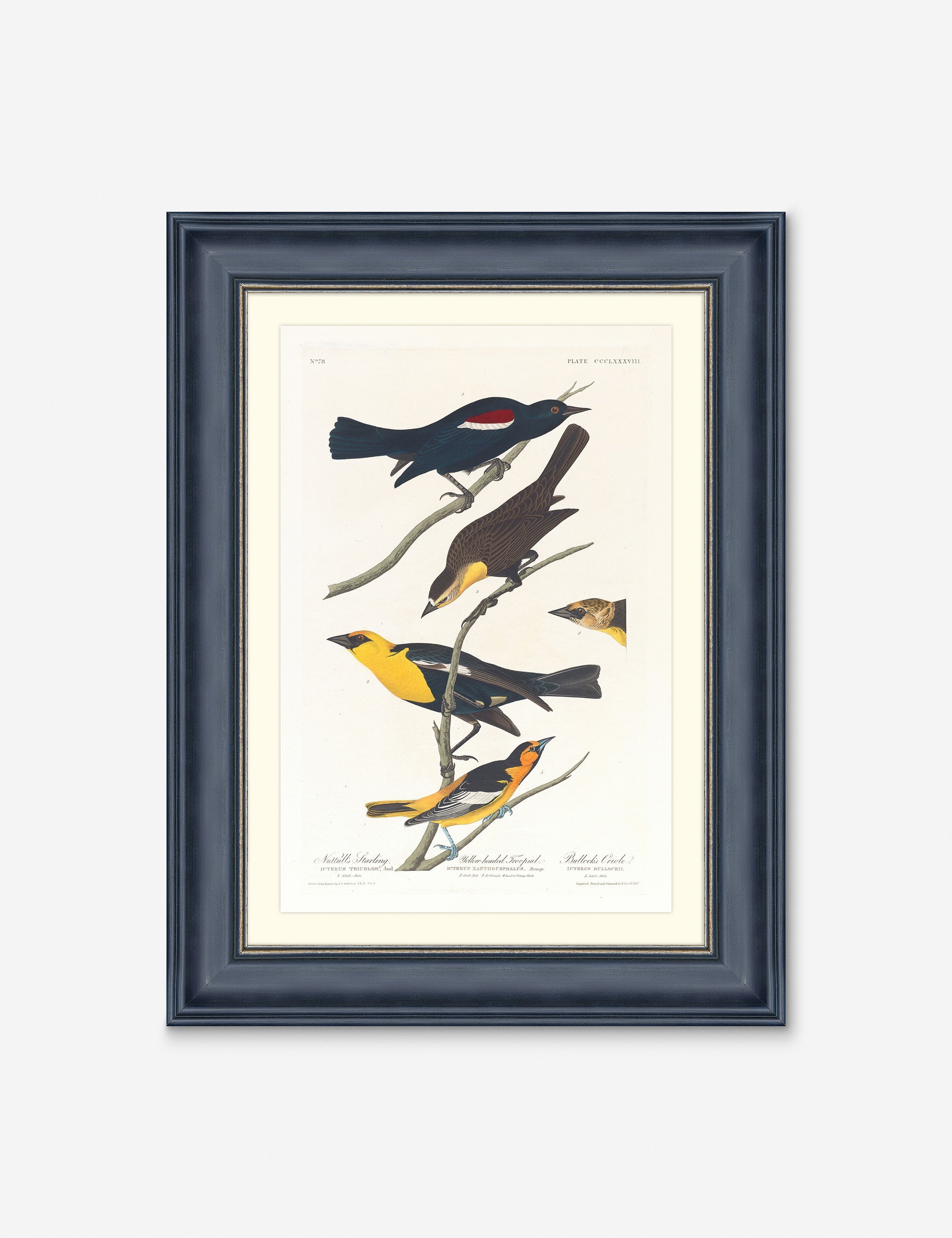 Lulu and Georgia - Wings of the Wild IV Wall Art by Alex Zane