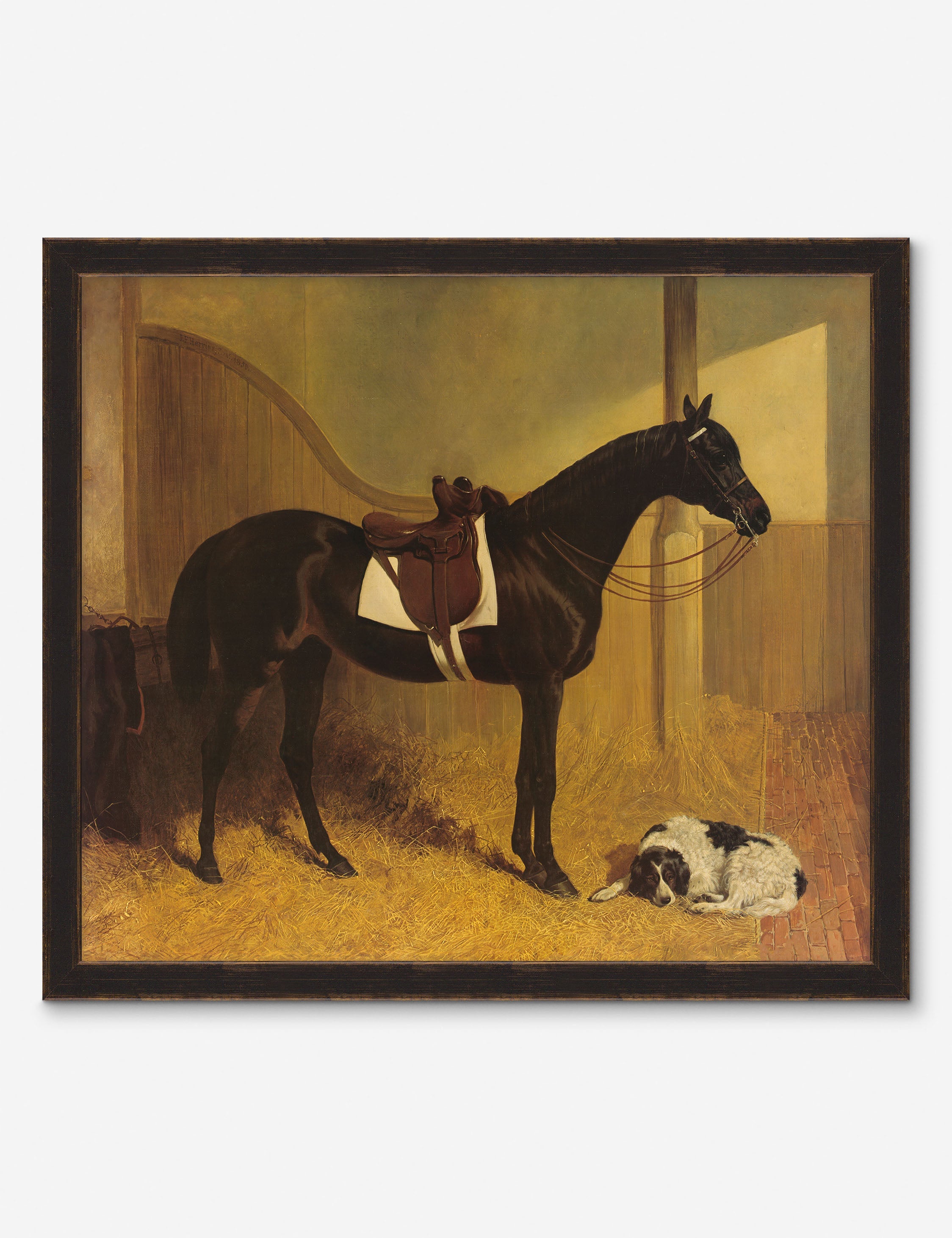 Lulu and Georgia - Horse I Wall Art by Heidi Caillier