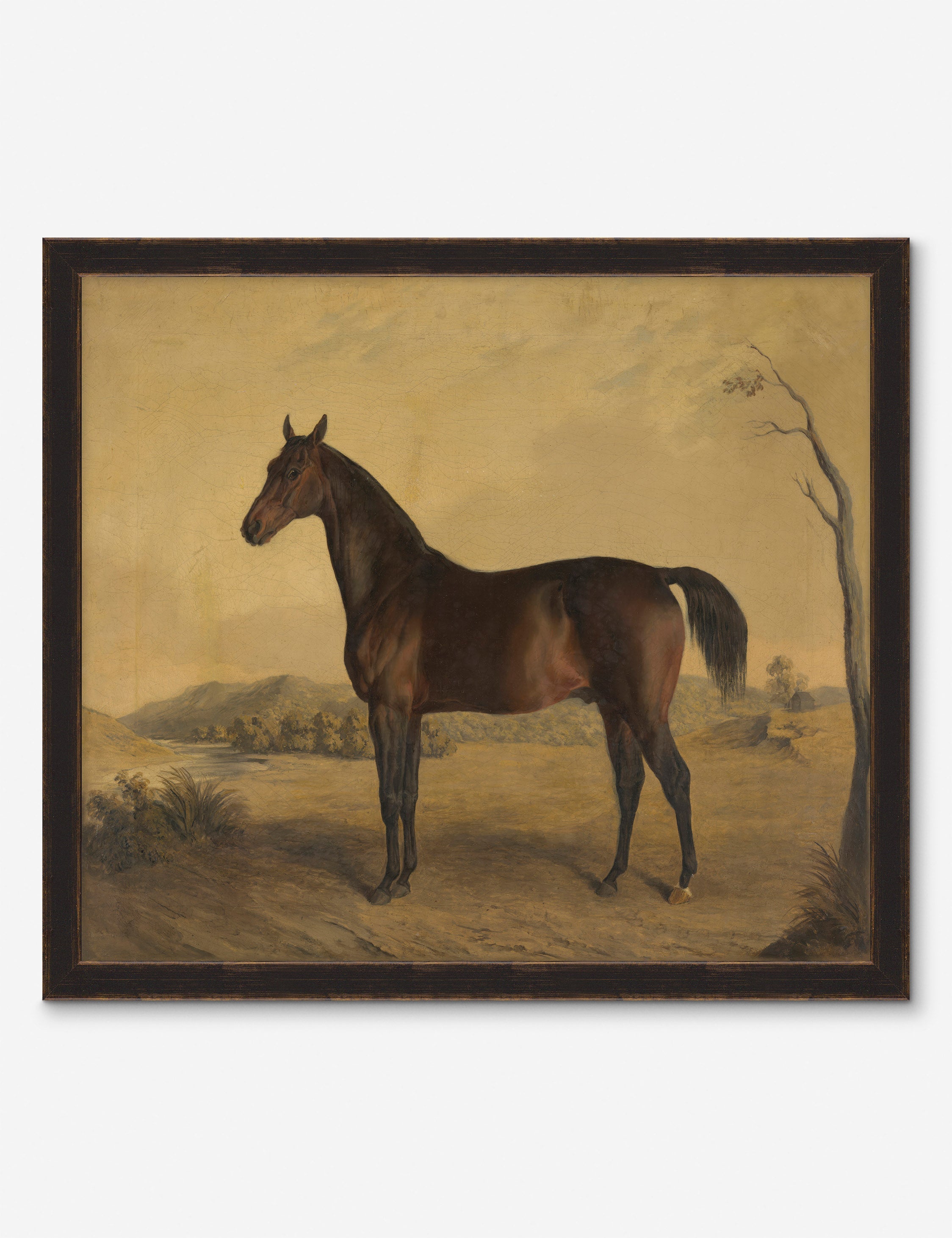 Lulu and Georgia - Horse II Wall Art by Heidi Caillier