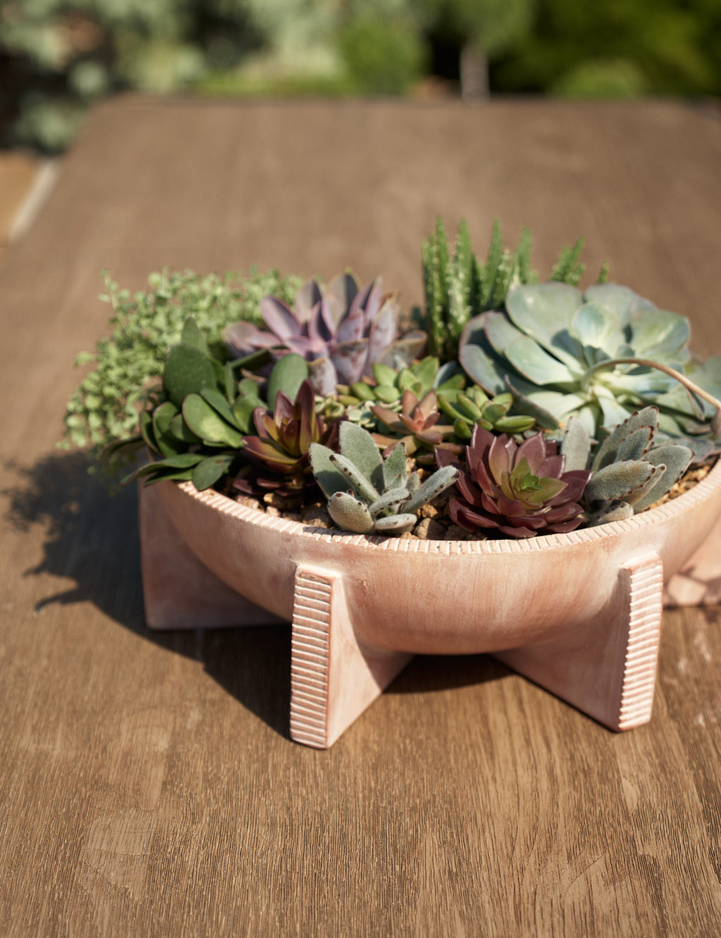 Lulu and Georgia - Edinburgh Planter by Arteriors