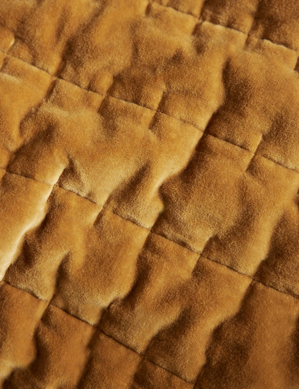 Lulu and Georgia - Anderson Velvet Quilt