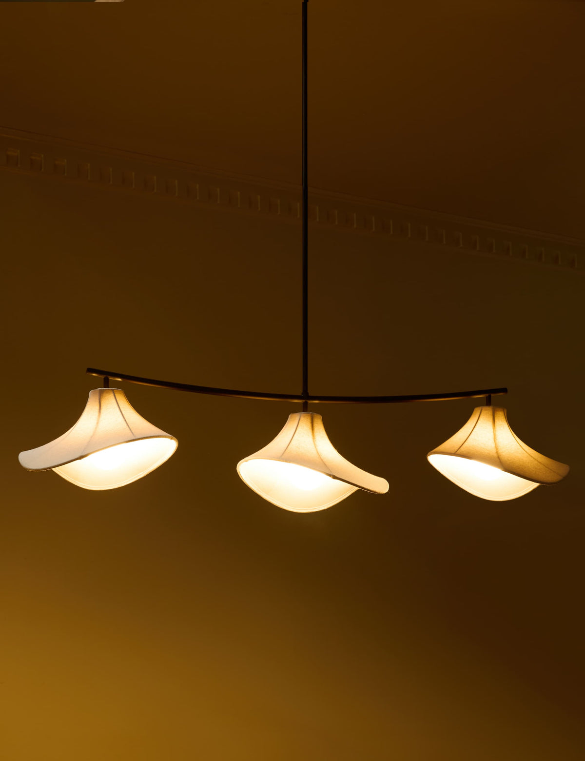 Lulu and Georgia - Ara Linear Chandelier by Eny Lee Parker
