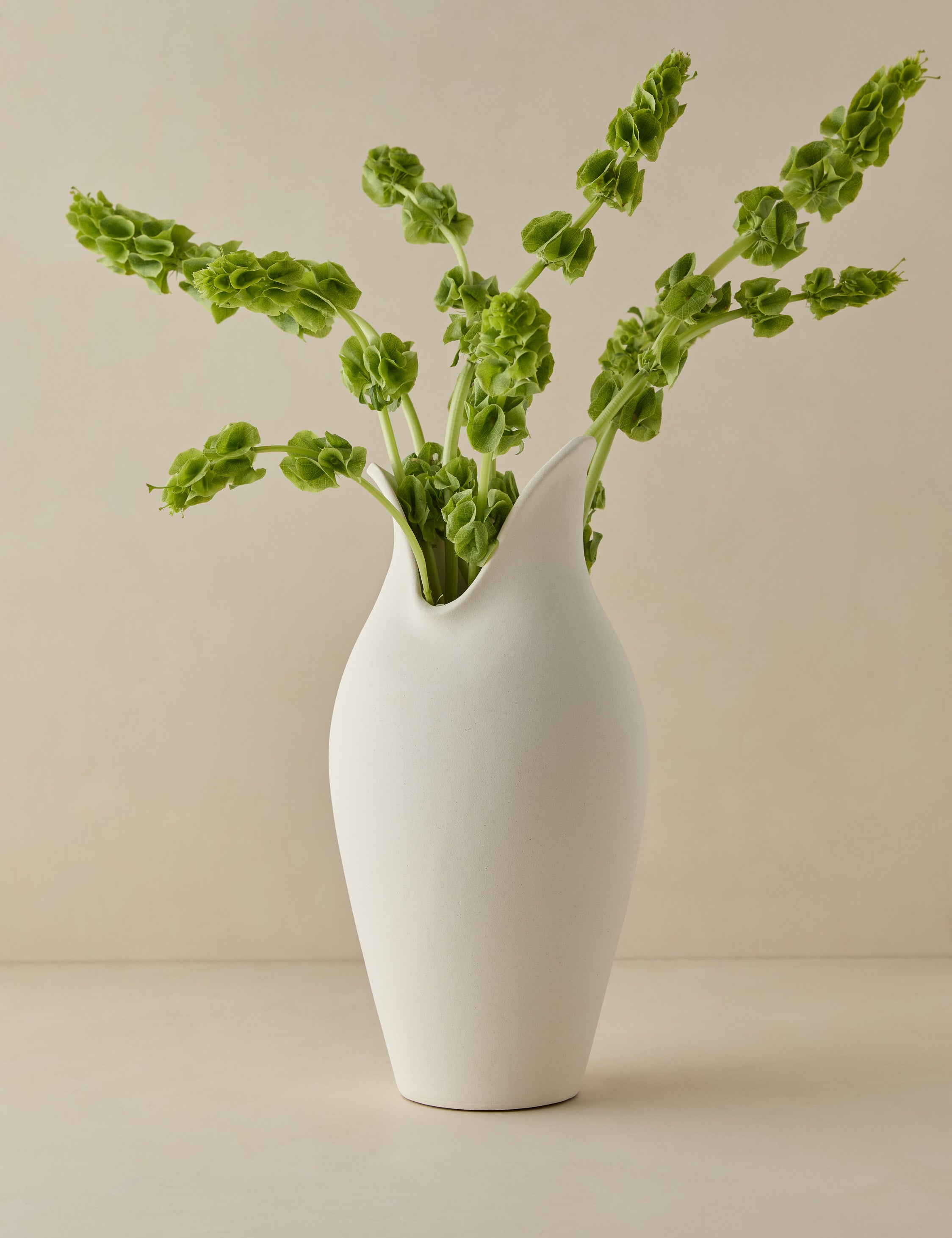 Lulu and Georgia - Avayah Vase