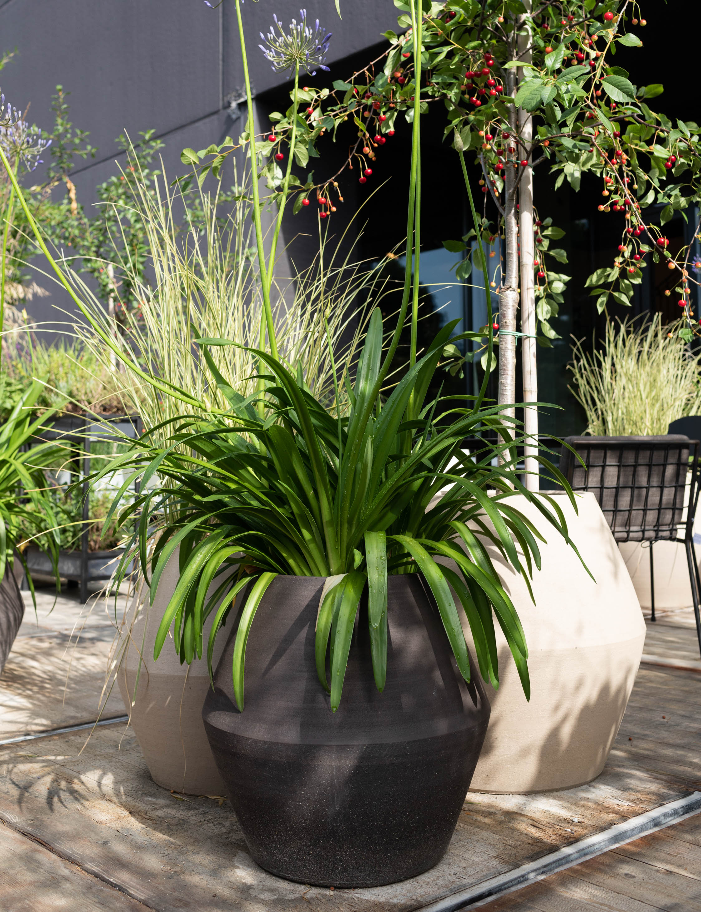 Lulu and Georgia - Construct Barrel Planter Pot by Marie Michielssen x Serax