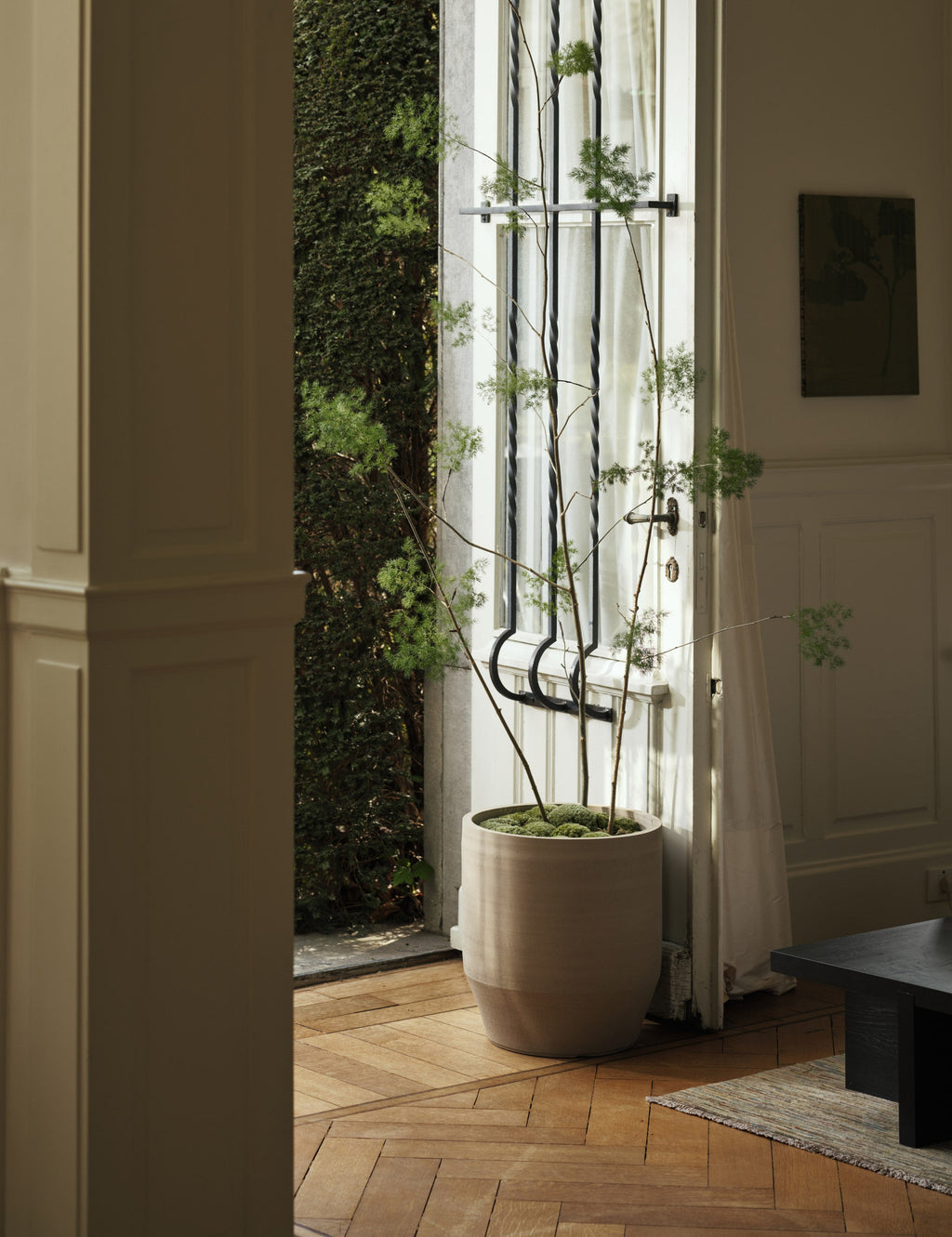 Lulu and Georgia - Construct Drum Planter by Marie Michielssen x Serax