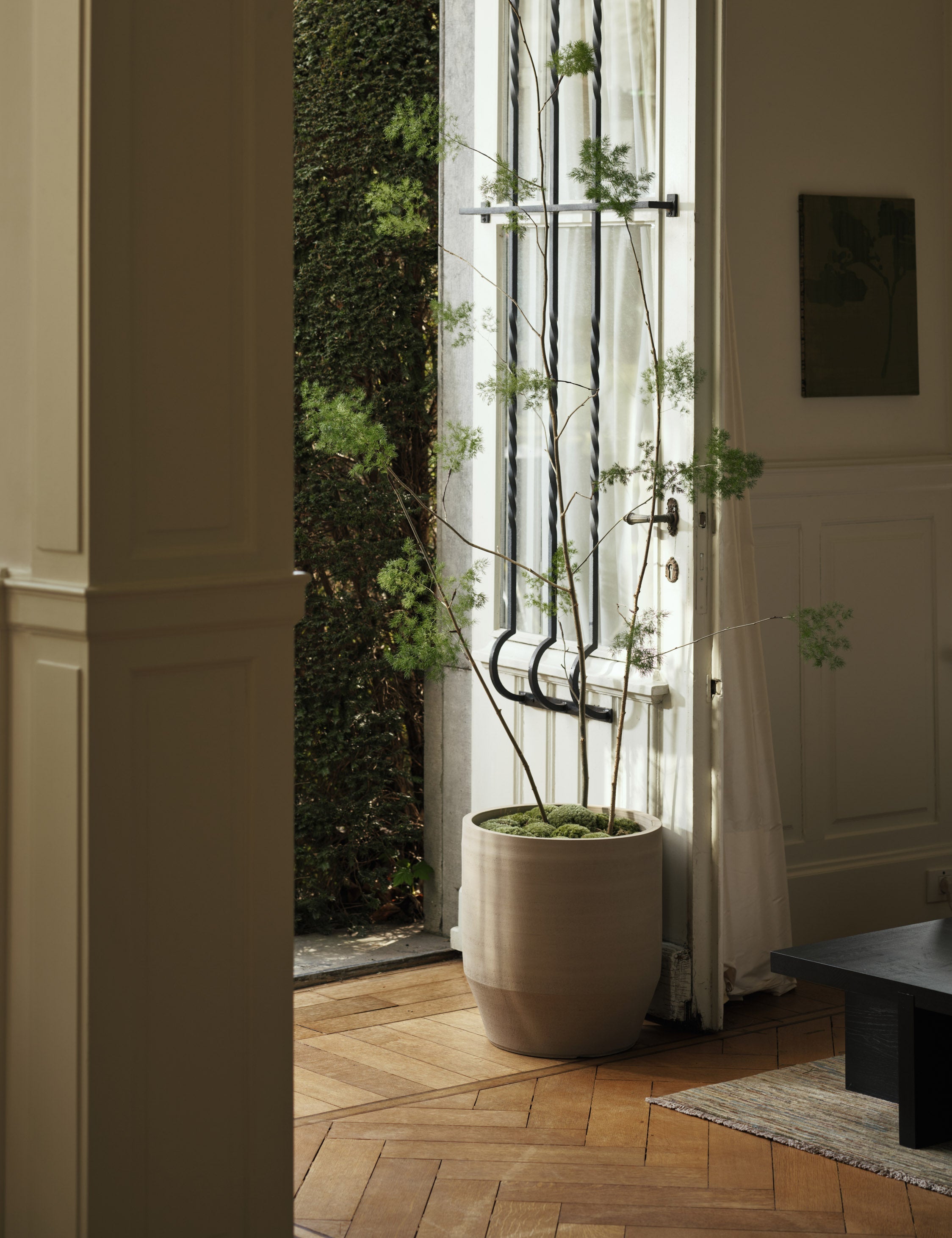 Lulu and Georgia - Construct Drum Planter by Marie Michielssen x Serax
