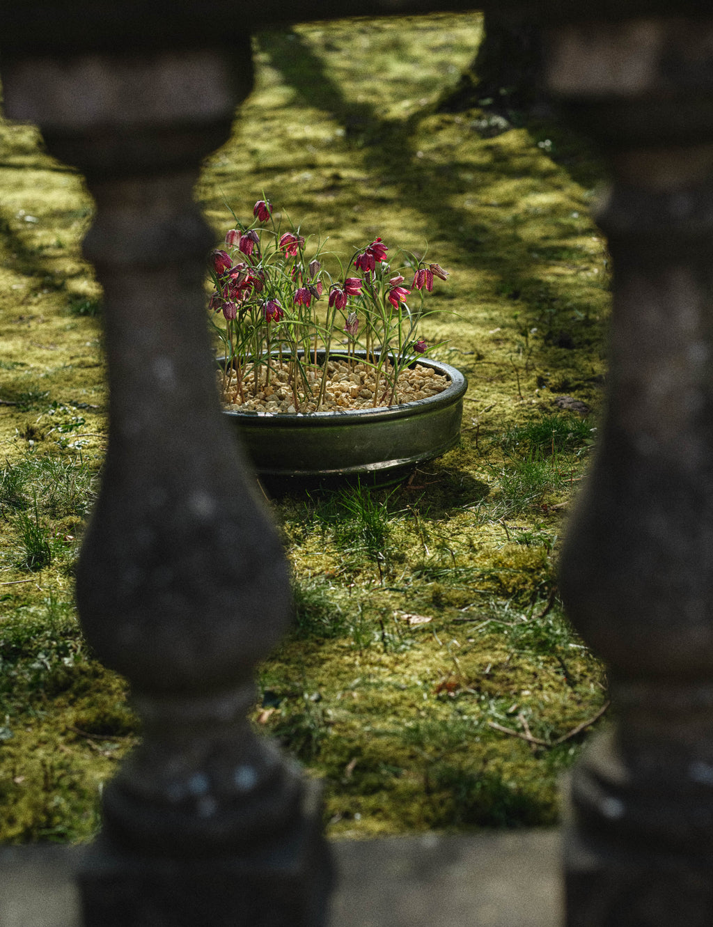 Lulu and Georgia - Dune Planter Bowl by Kelly Wearstler x Serax