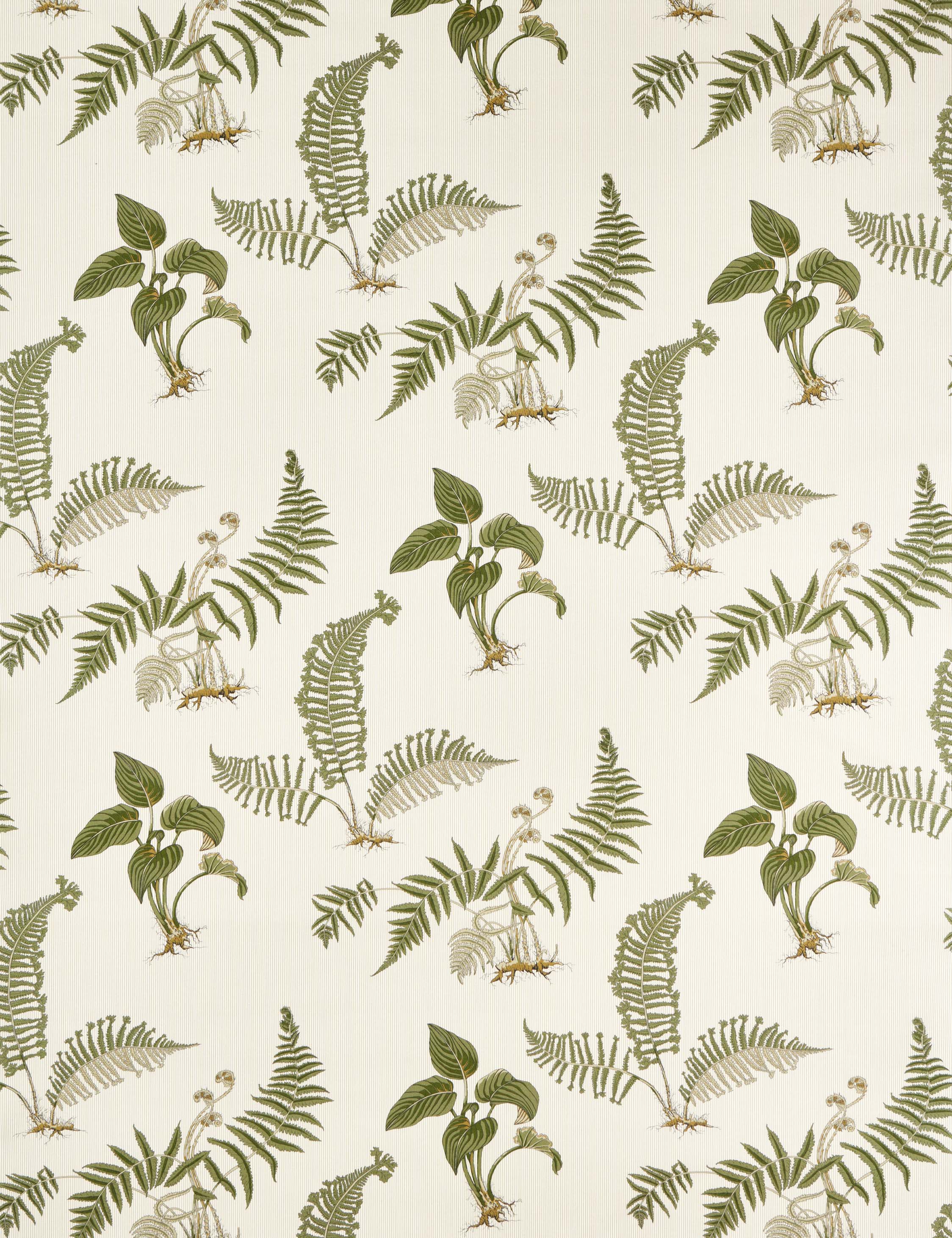 Lulu and Georgia - Hosta & Fern Fabric by Sanderson