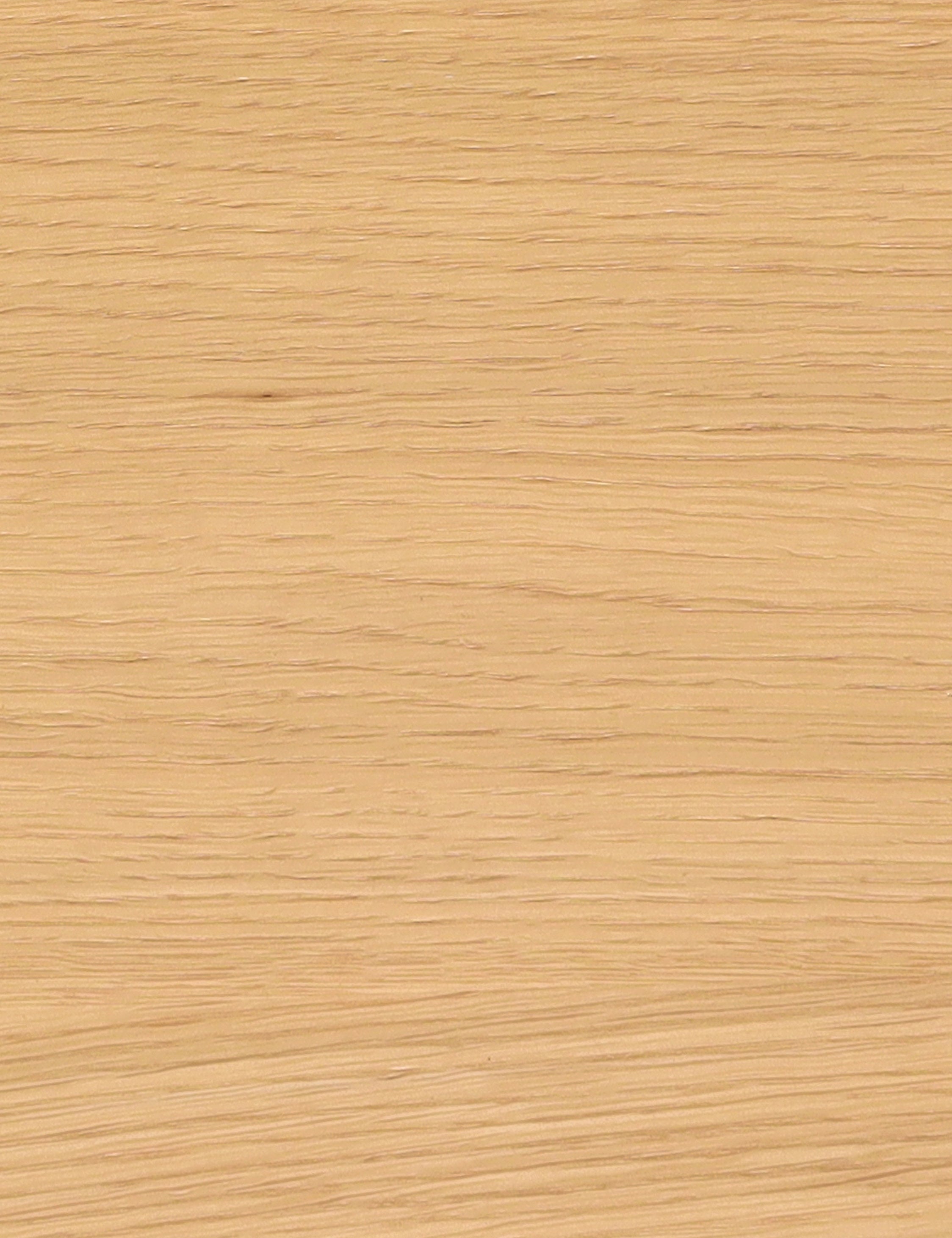 Lulu and Georgia - Anya Dining Chair (Set of 2)