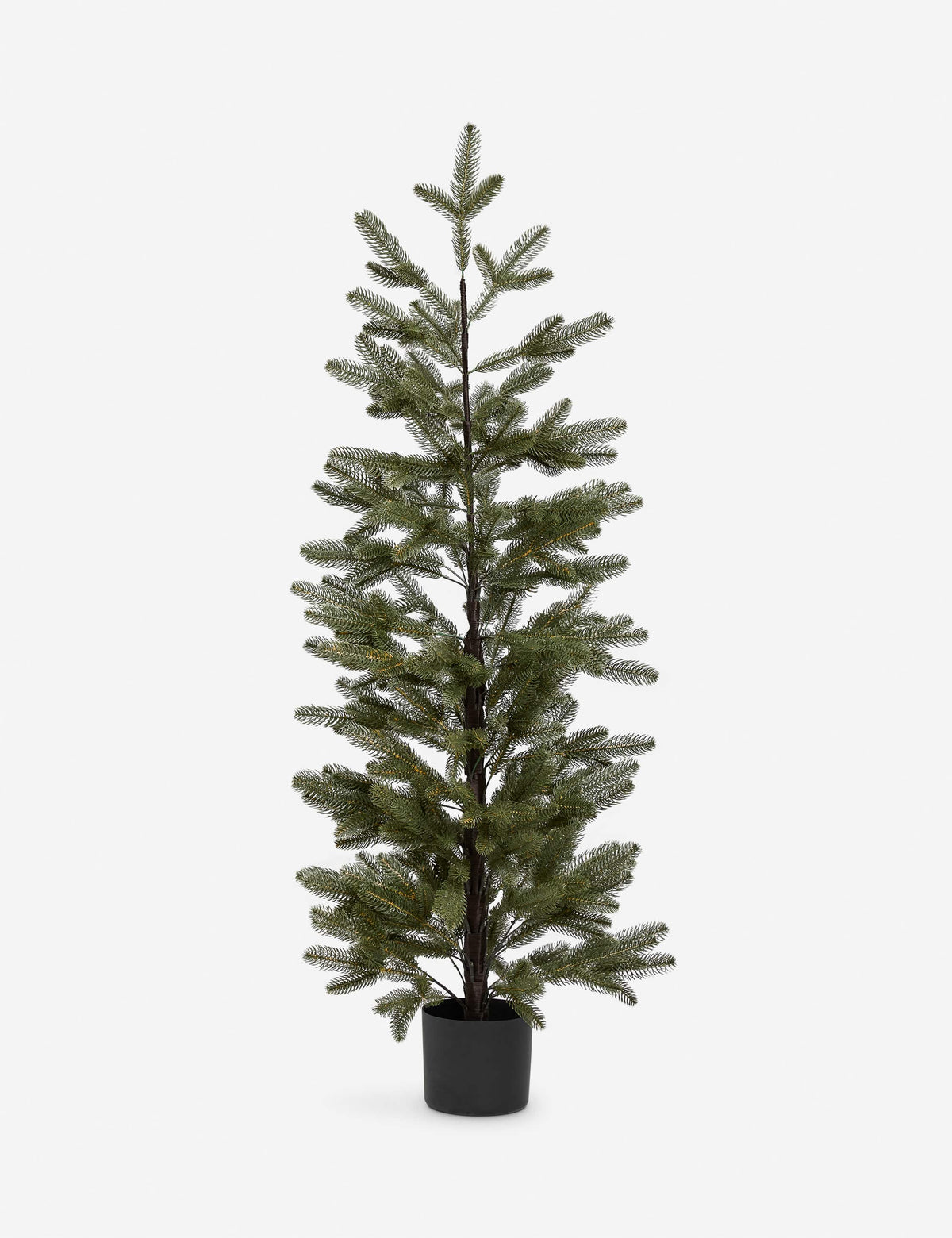 Lulu and Georgia - Faux Evergreen Tree by Creative Co - Op