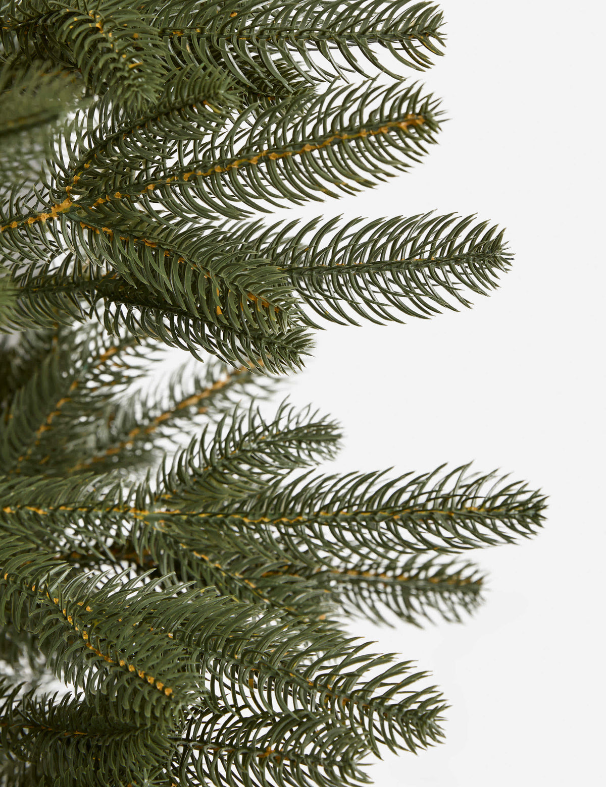 Lulu and Georgia - Faux Evergreen Tree by Creative Co - Op