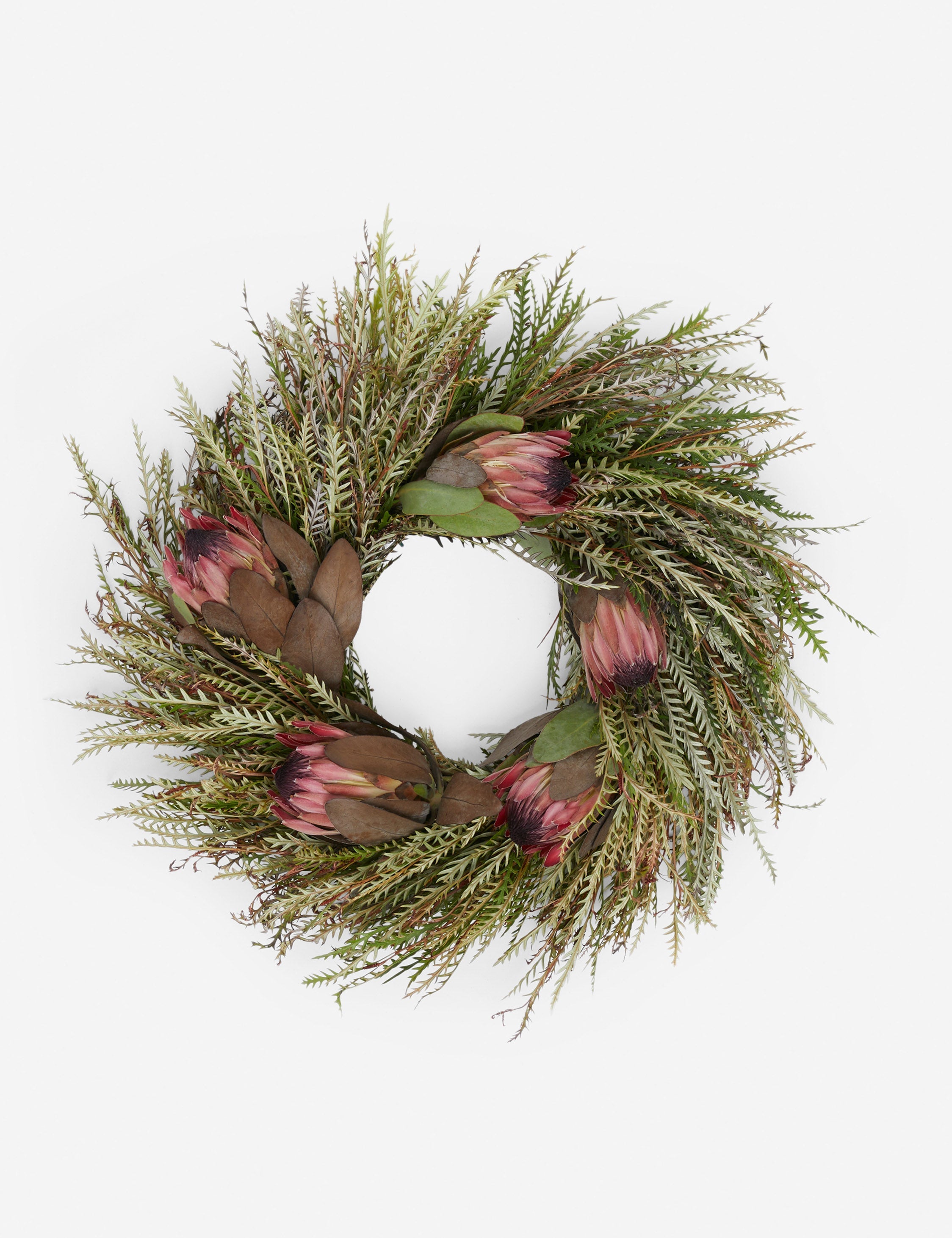 Lulu and Georgia - Fresh Handmade Grevillea and Pink Ice Protea Wreath