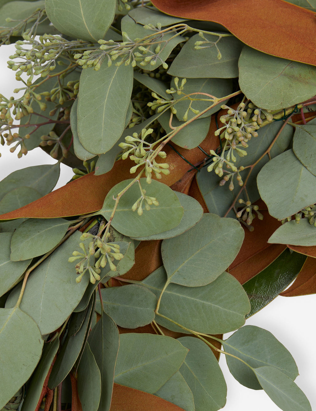Lulu and Georgia - Fresh Handmade Magnolia and Seeded Eucalyptus Garland