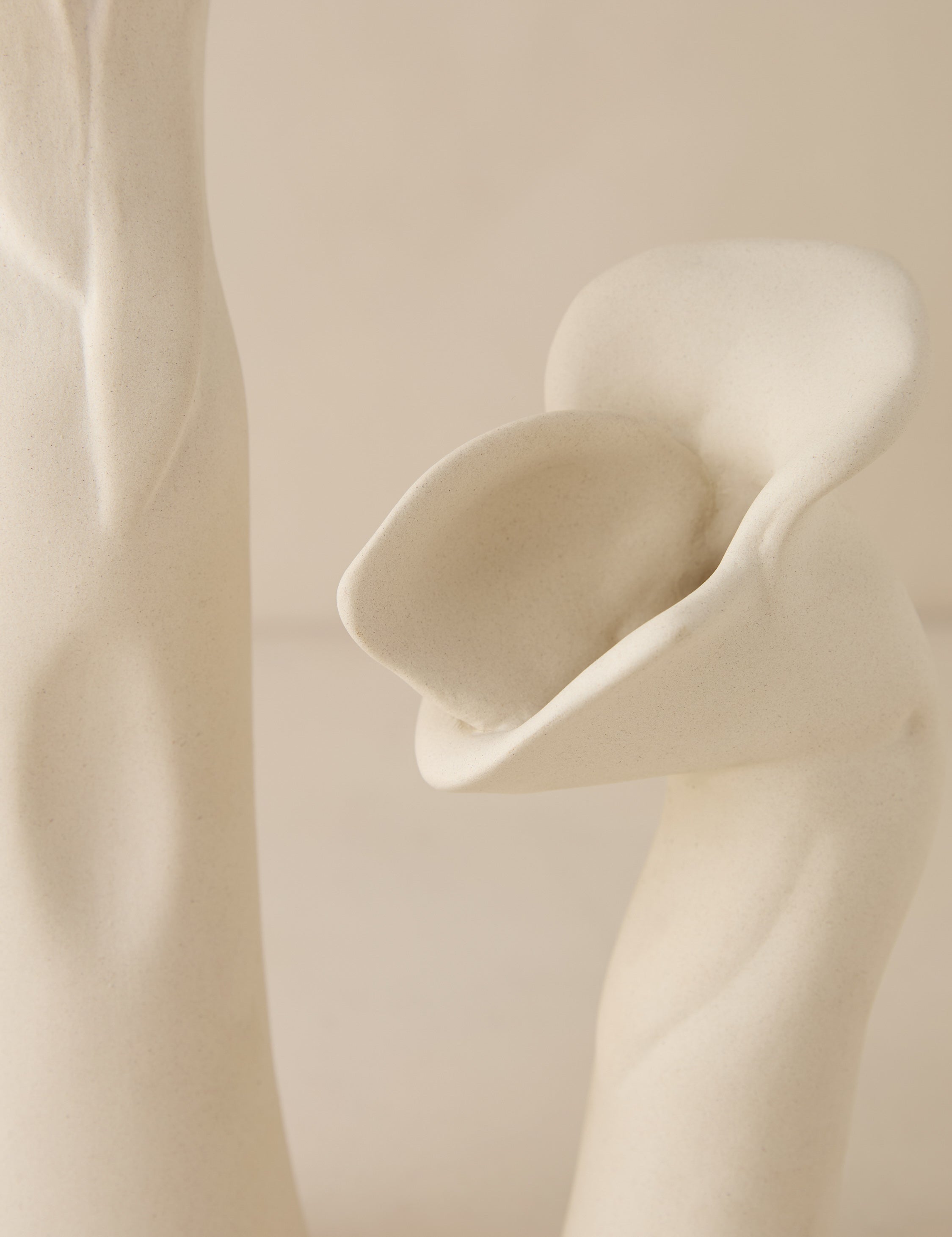 Lulu and Georgia - Pari Sculptural Vases (Set of 2) by Sarah Sherman Samuel