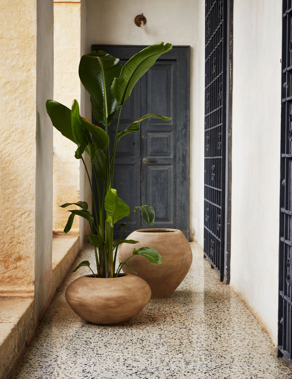 Lulu and Georgia - Dodou Planter Pot
