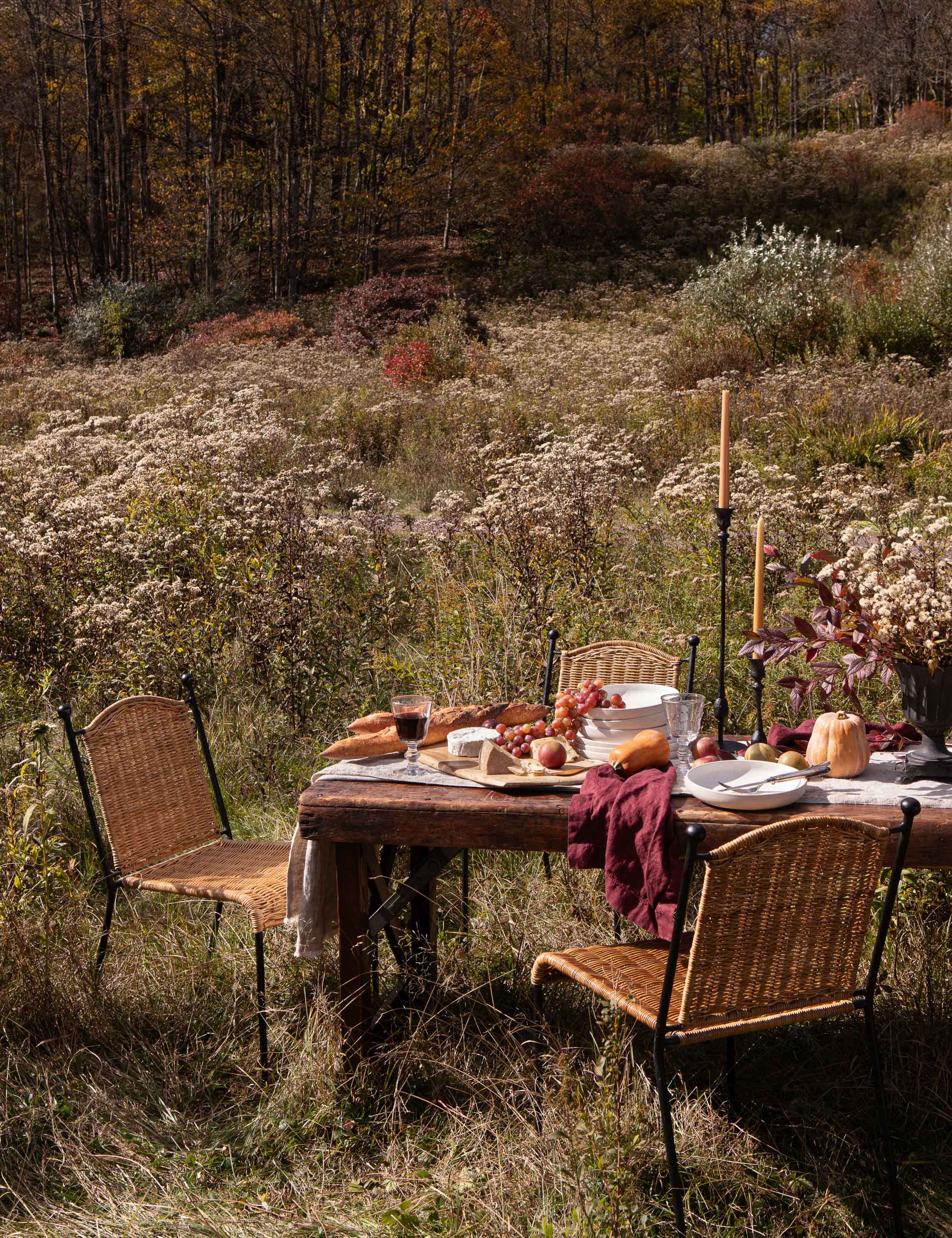 Lulu and Georgia - Bonnet Indoor / Outdoor Accent Chair