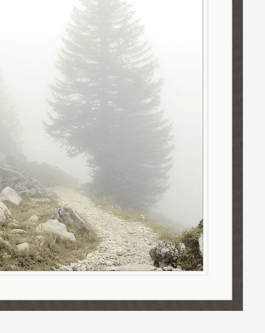 McGee & Co - Foggy Mountain I