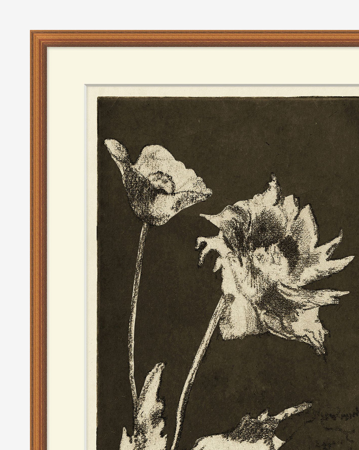 McGee & Co - Floral Etching
