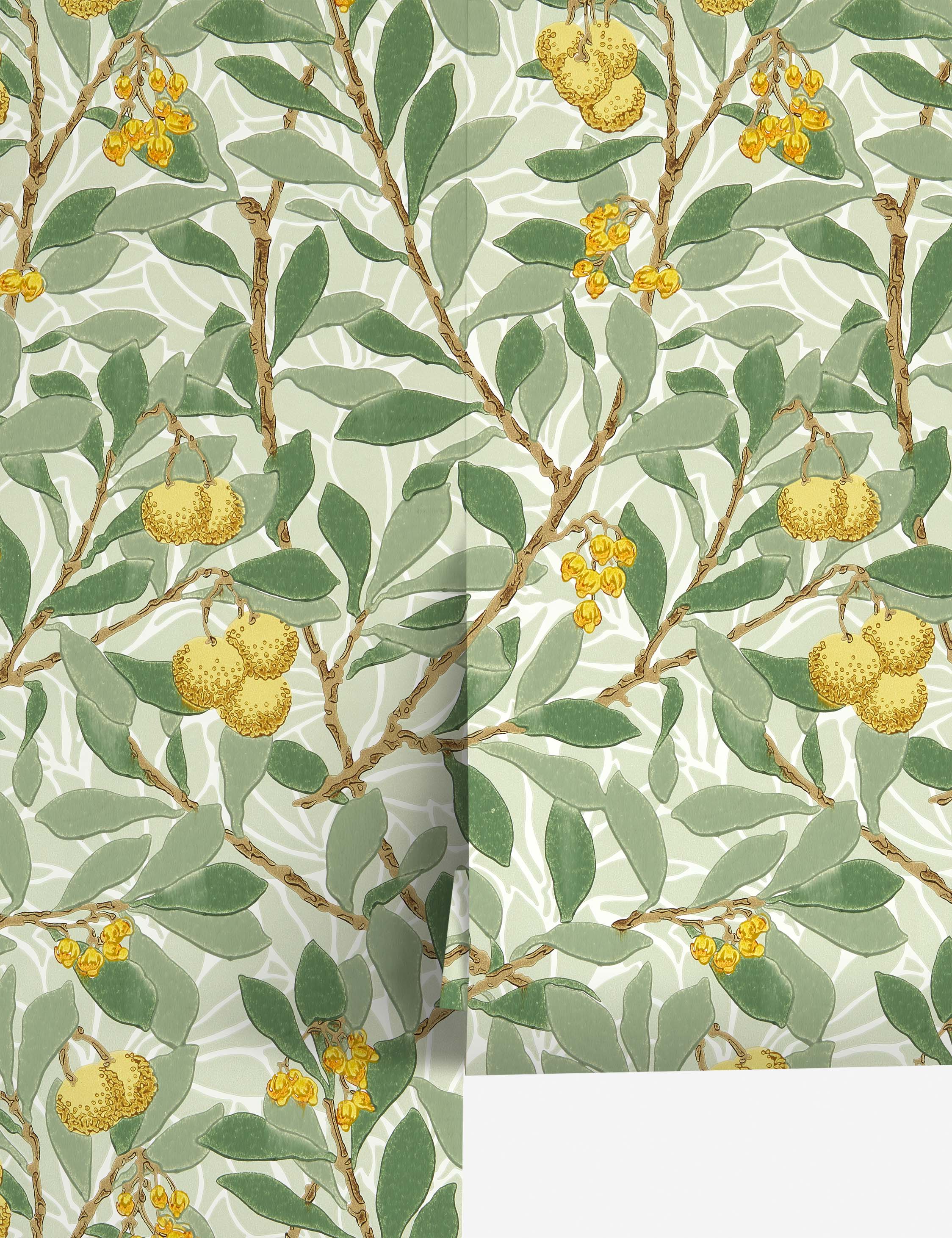 Lulu and Georgia - Arbutus Wallpaper by Morris & Co.