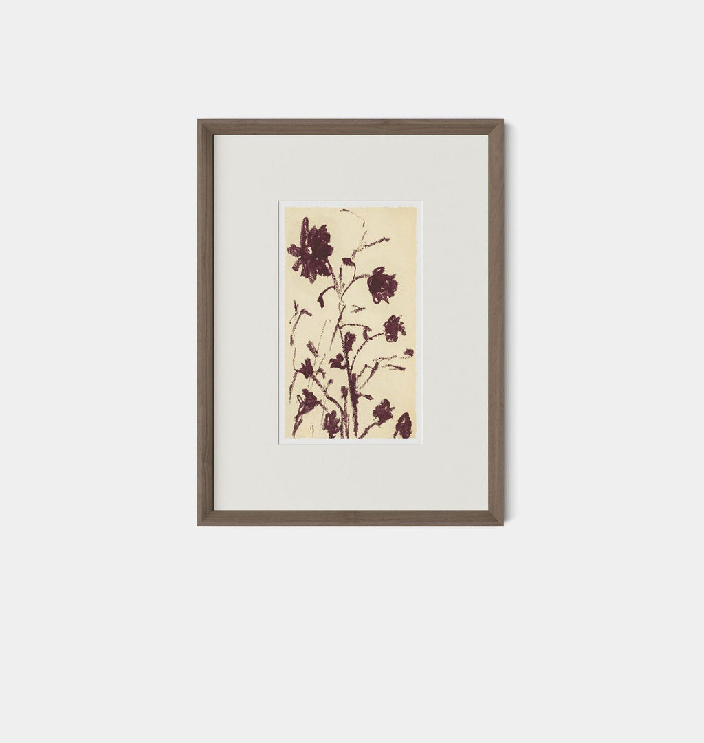 Amber Interiors - Meadow Rue No.1 Framed Print