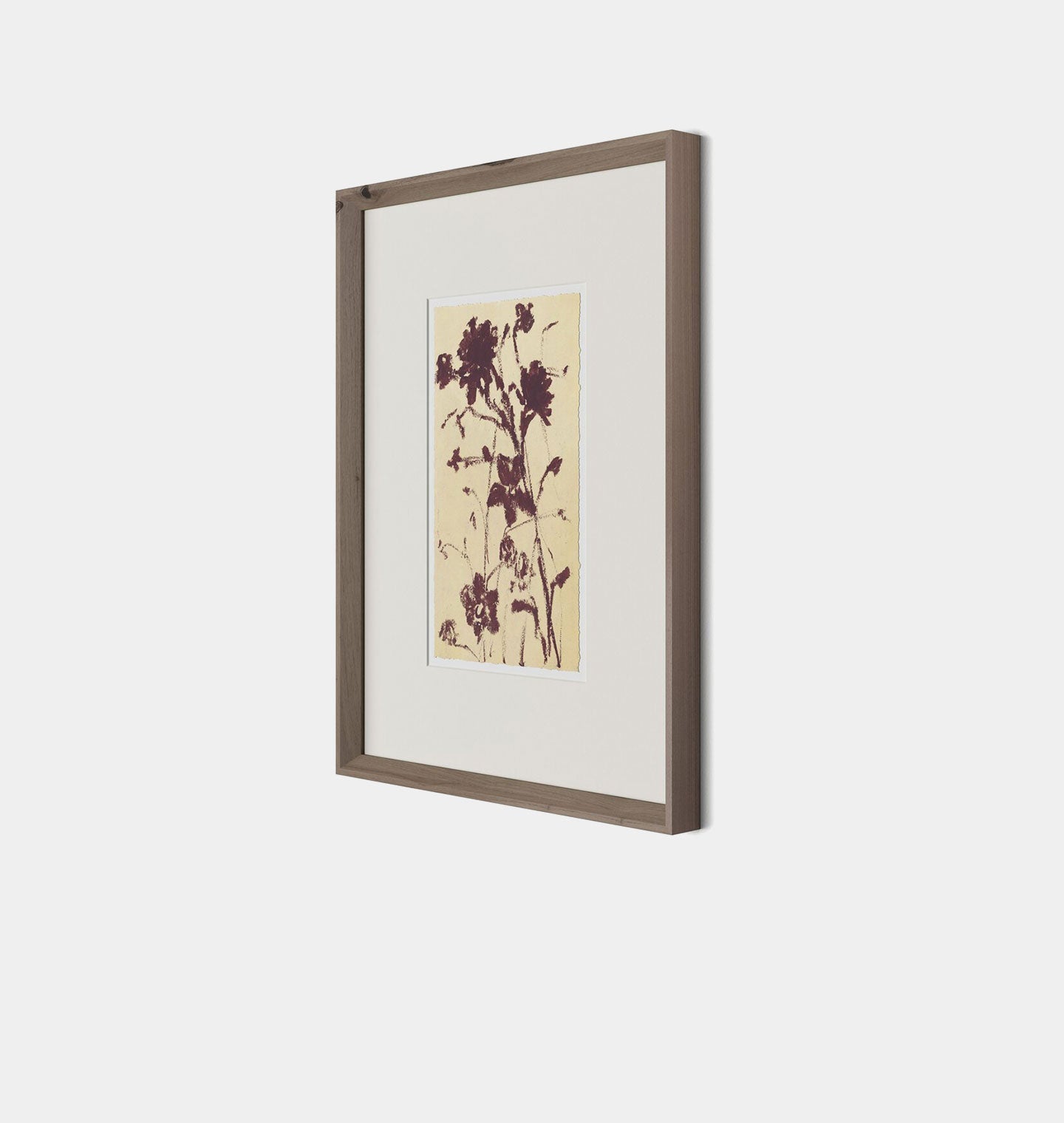 Amber Interiors - Meadow Rue No.2 Framed Print