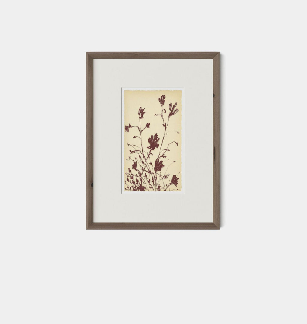 Amber Interiors - Meadow Rue No.3 Framed Print
