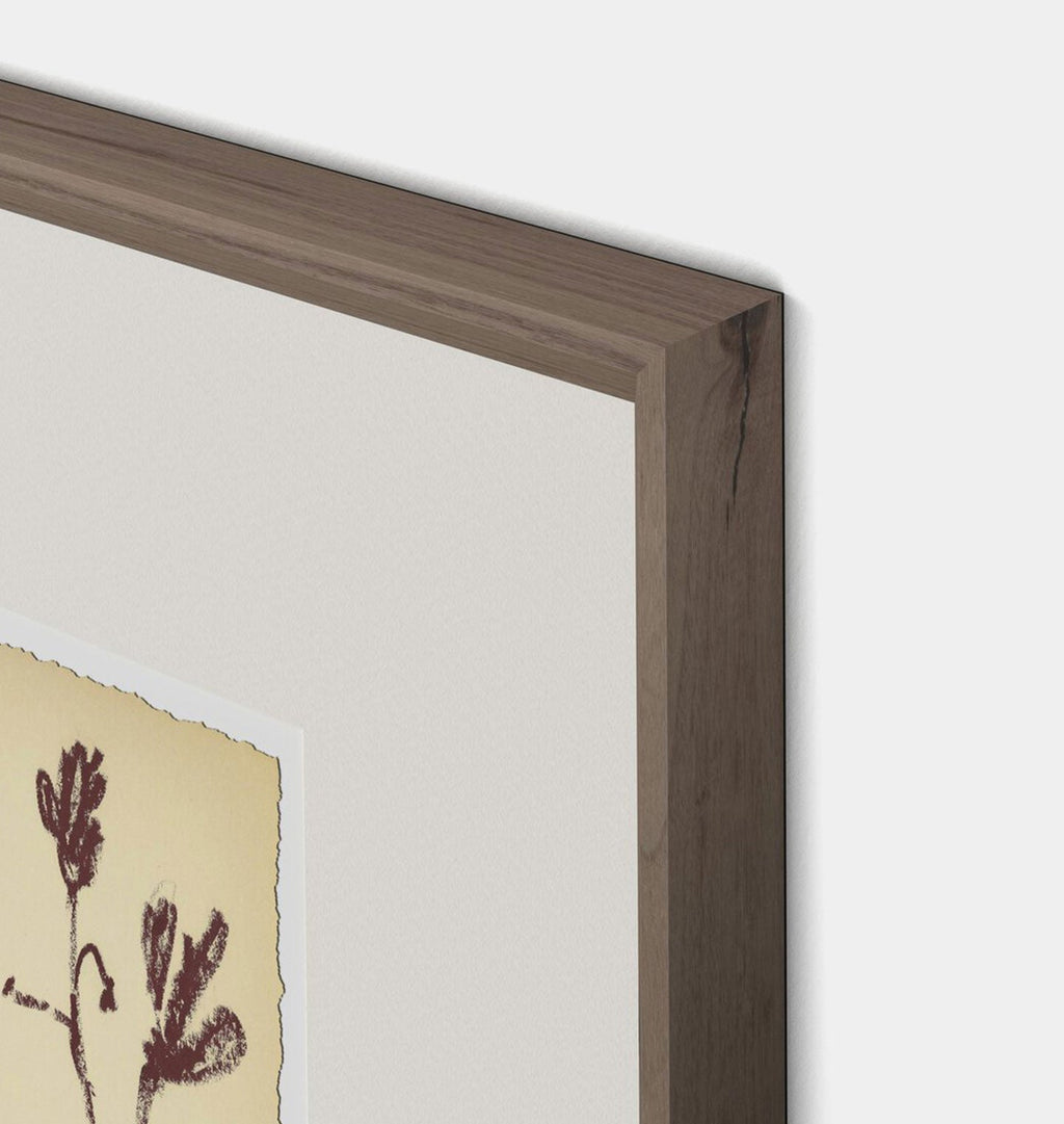 Amber Interiors - Meadow Rue No.3 Framed Print