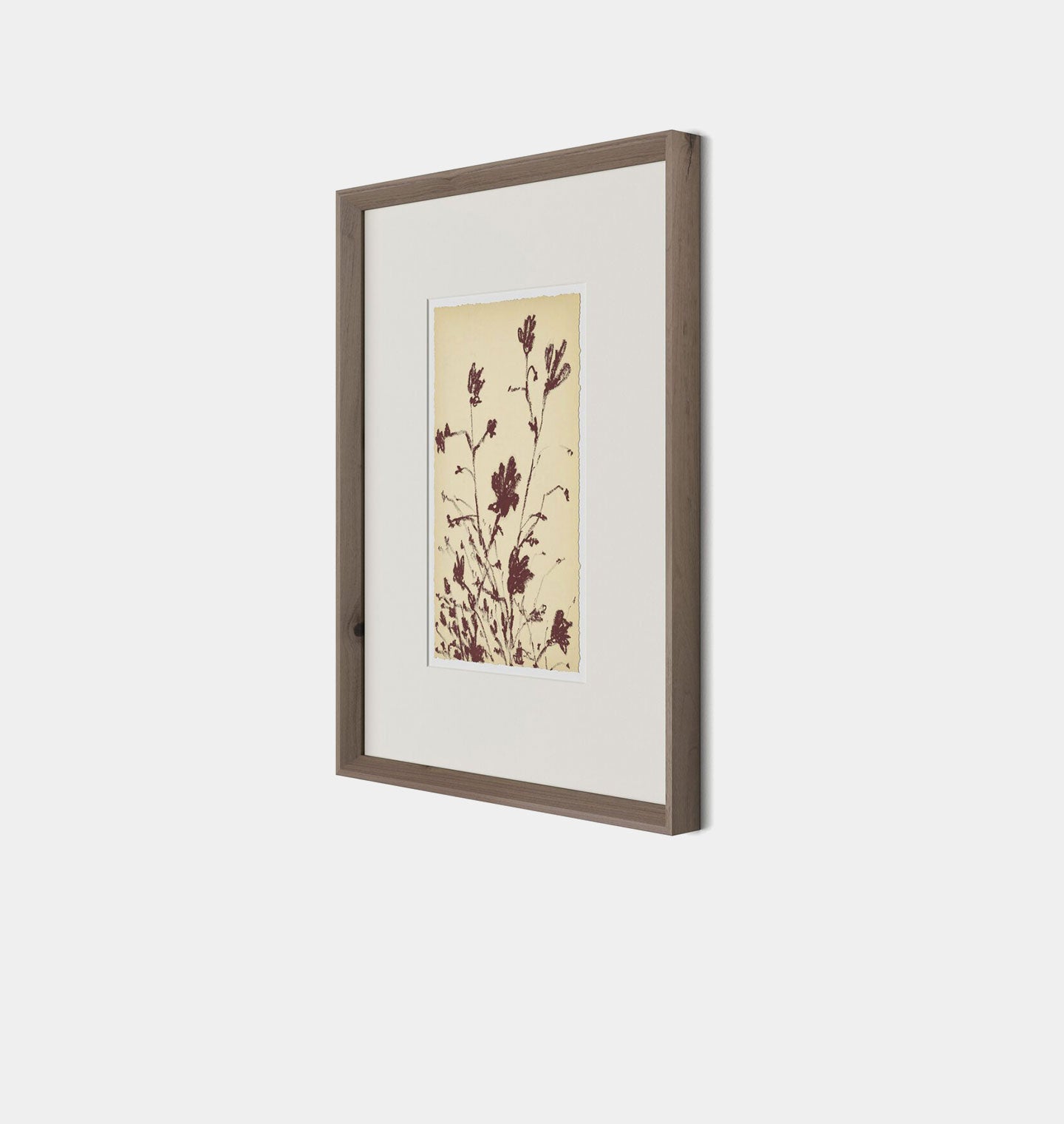 Amber Interiors - Meadow Rue No.3 Framed Print